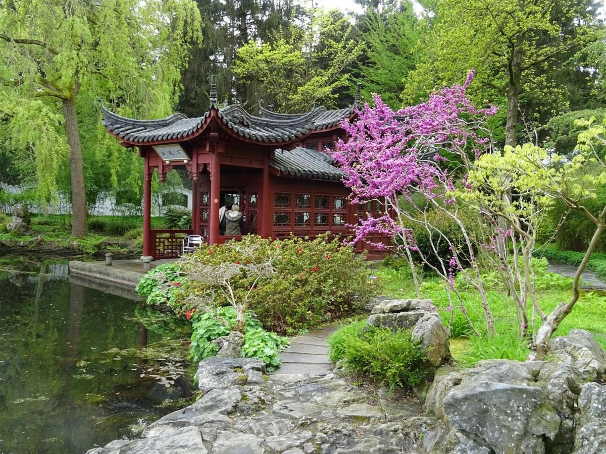 Photo 37