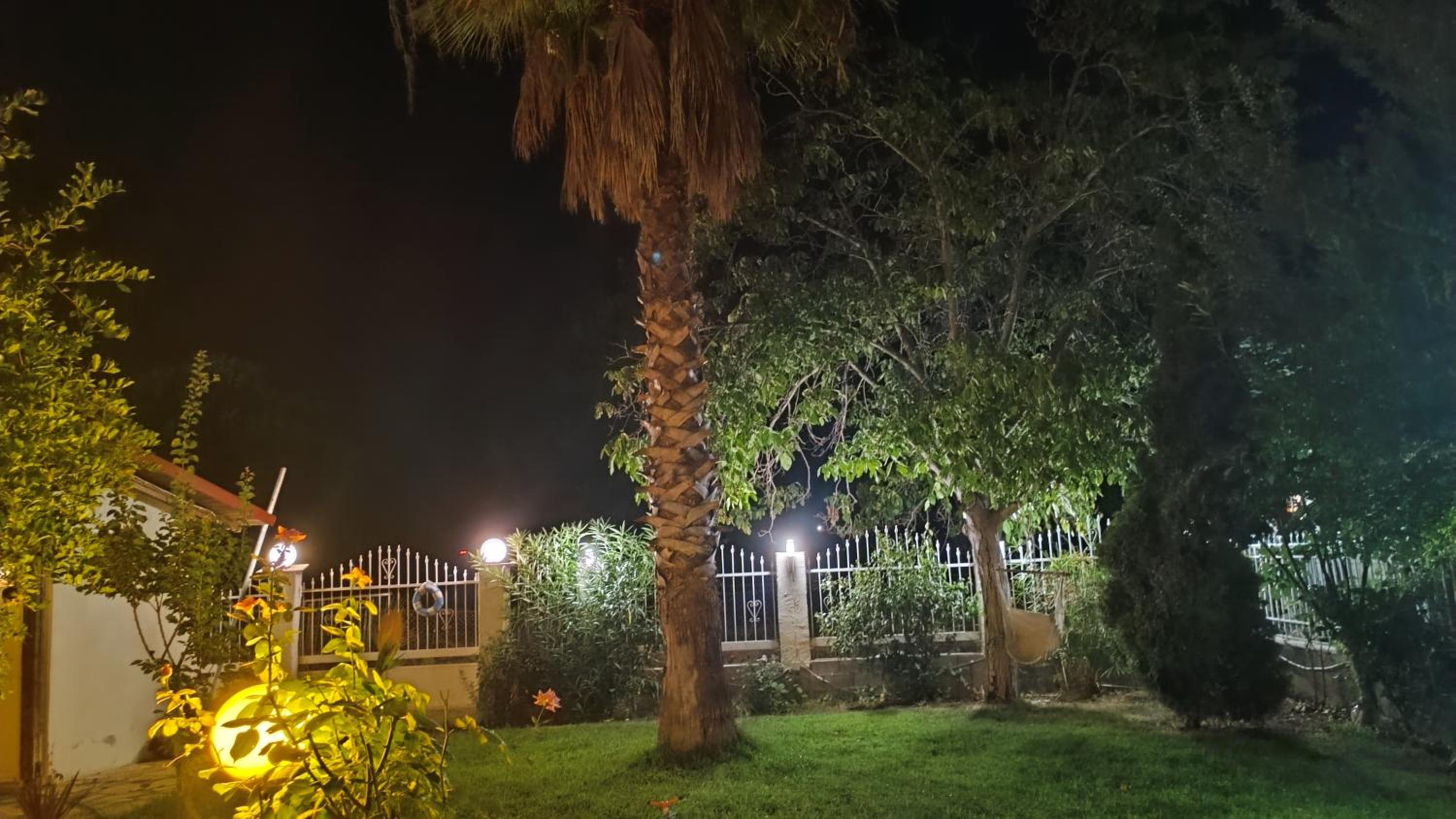 Photo 19