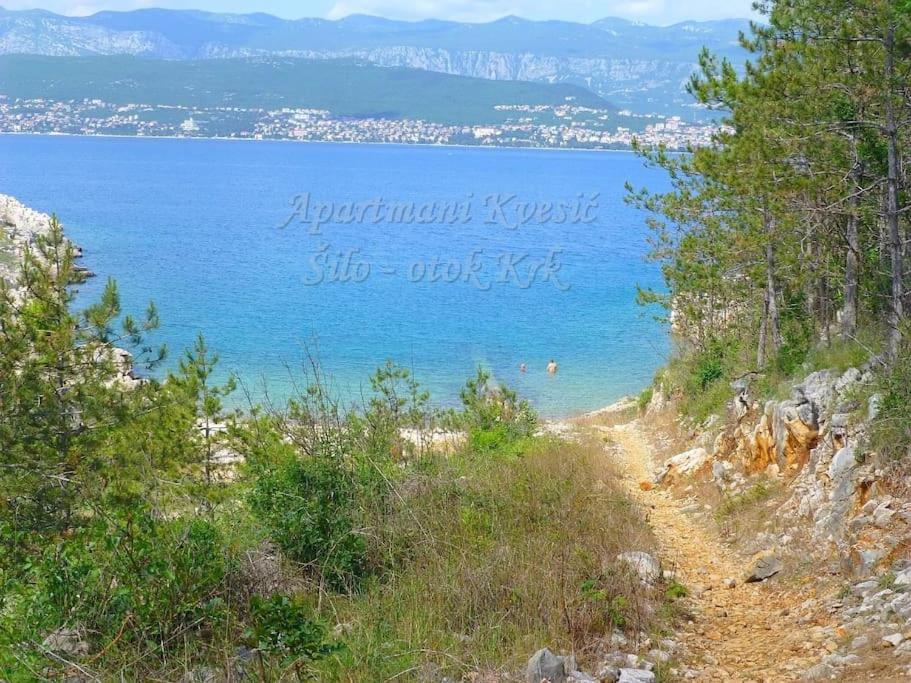 Apartmani Kvesic - Azzurro