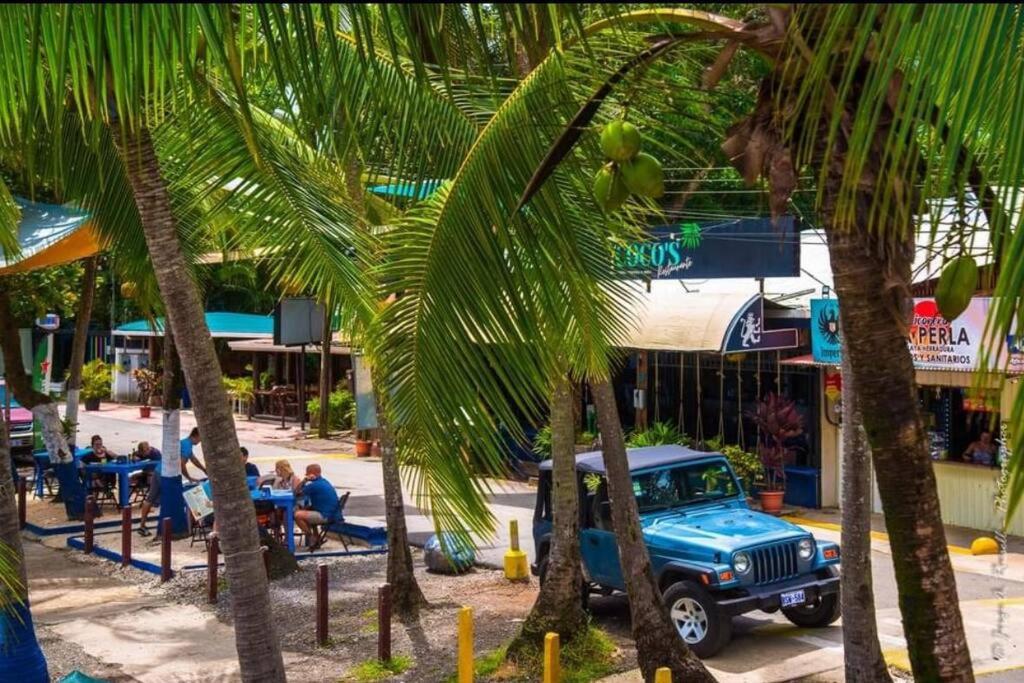 Arenas Jungle House!
