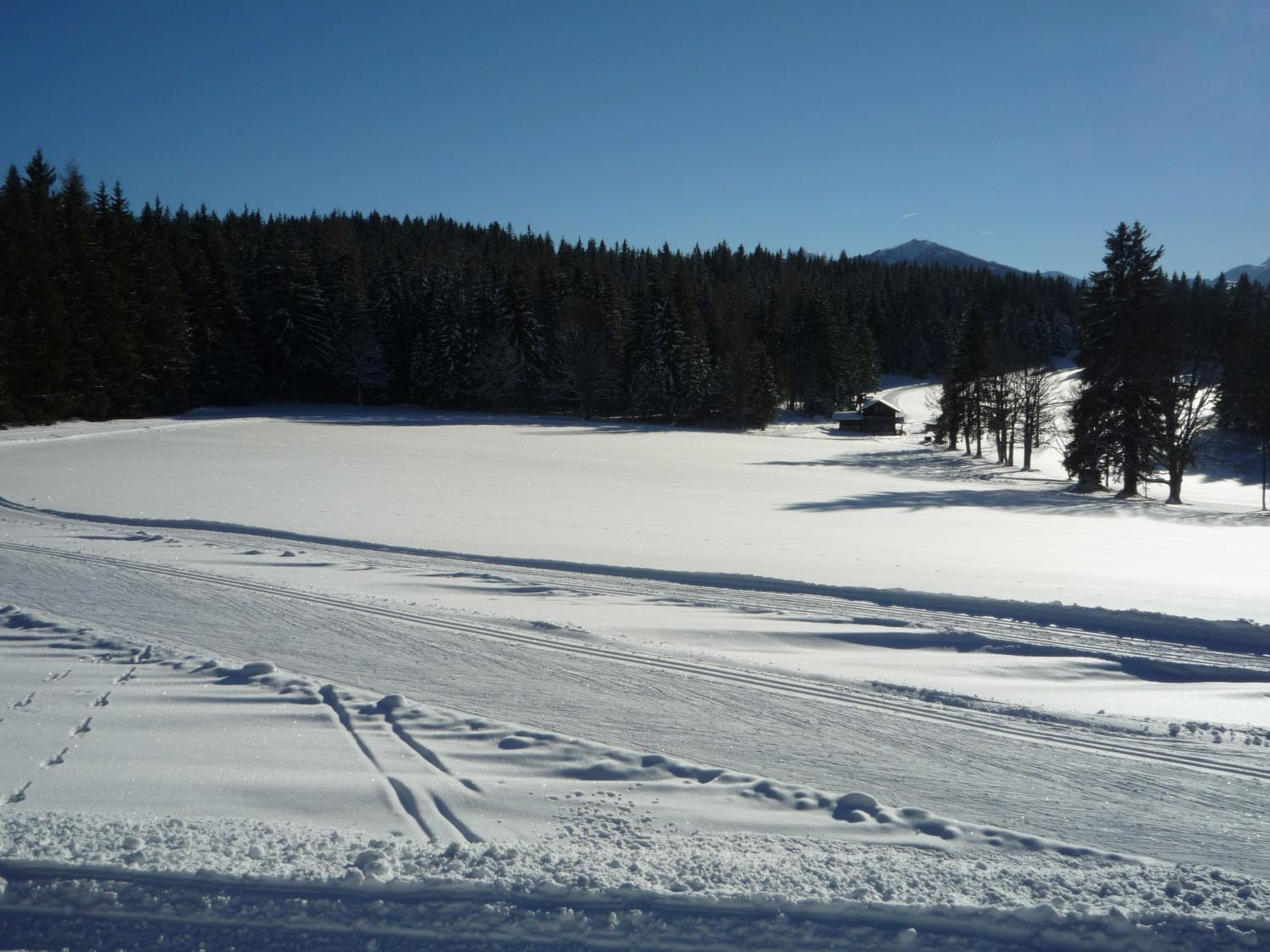 Kraftplatz am Dachstein - Herold - für Ruhesuchende und sportlich Aktive