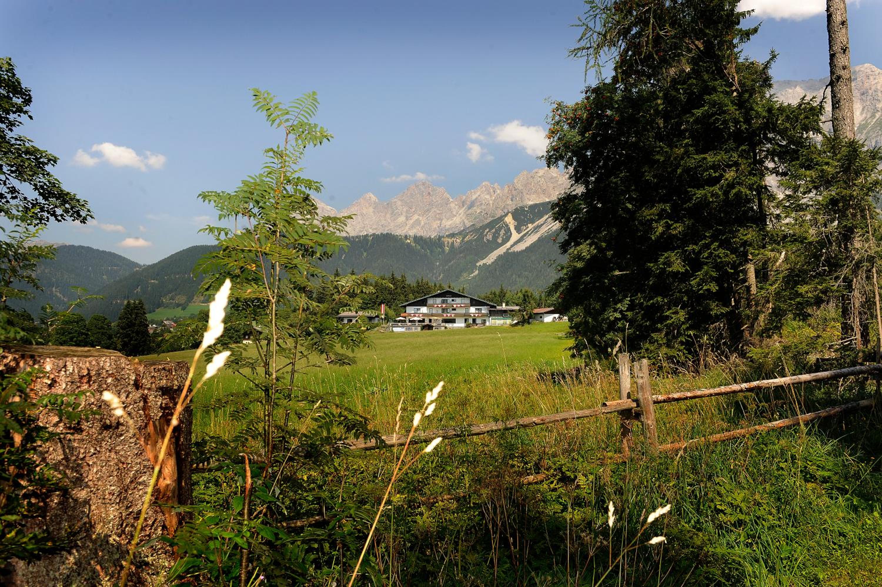 Kraftplatz am Dachstein - Herold - für Ruhesuchende und sportlich Aktive