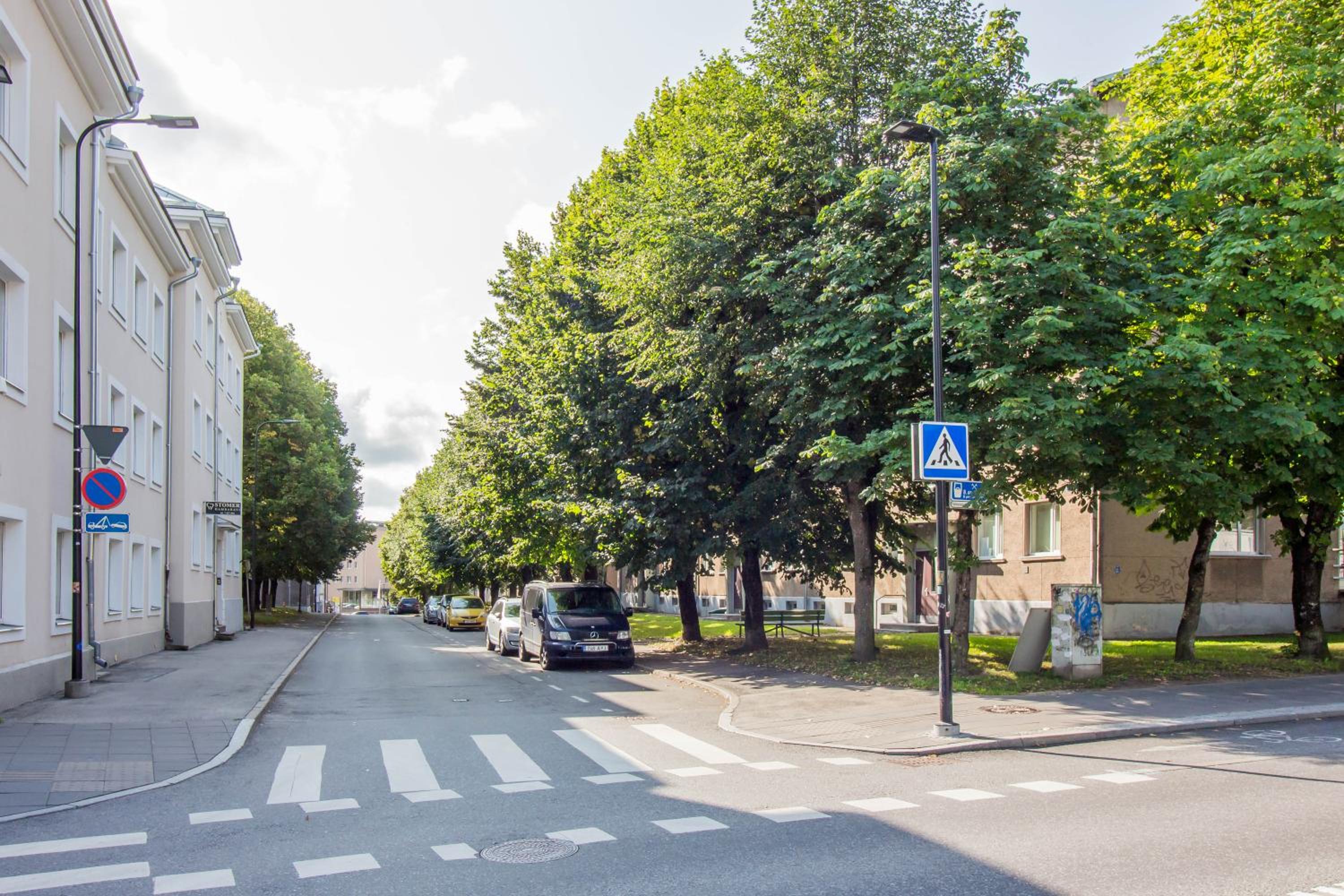 Vanemuise City Center Apartment