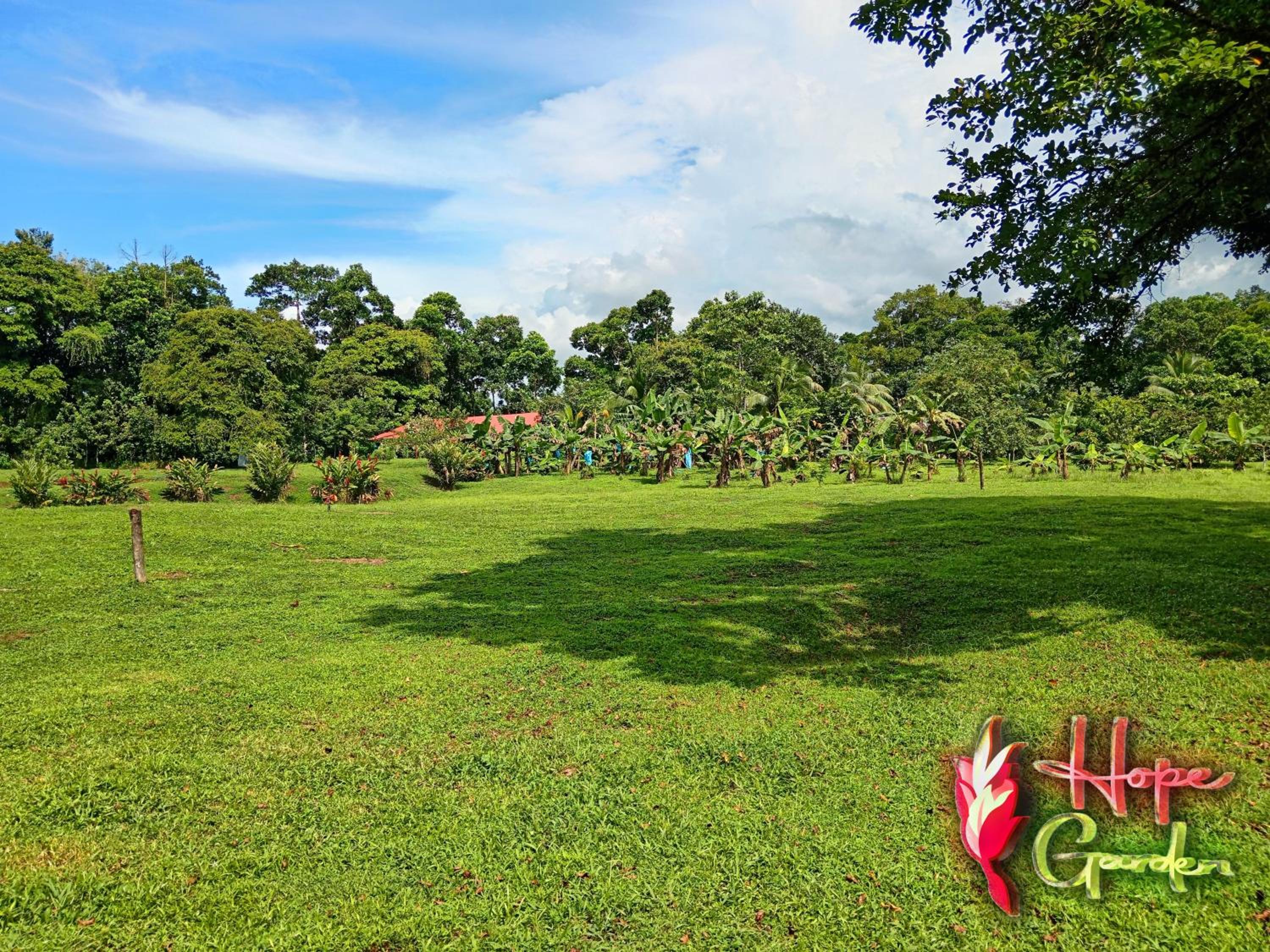 HOPE GARDEN, SARAPIQUÍ, We connect you with the Sarapiquí tropical forest