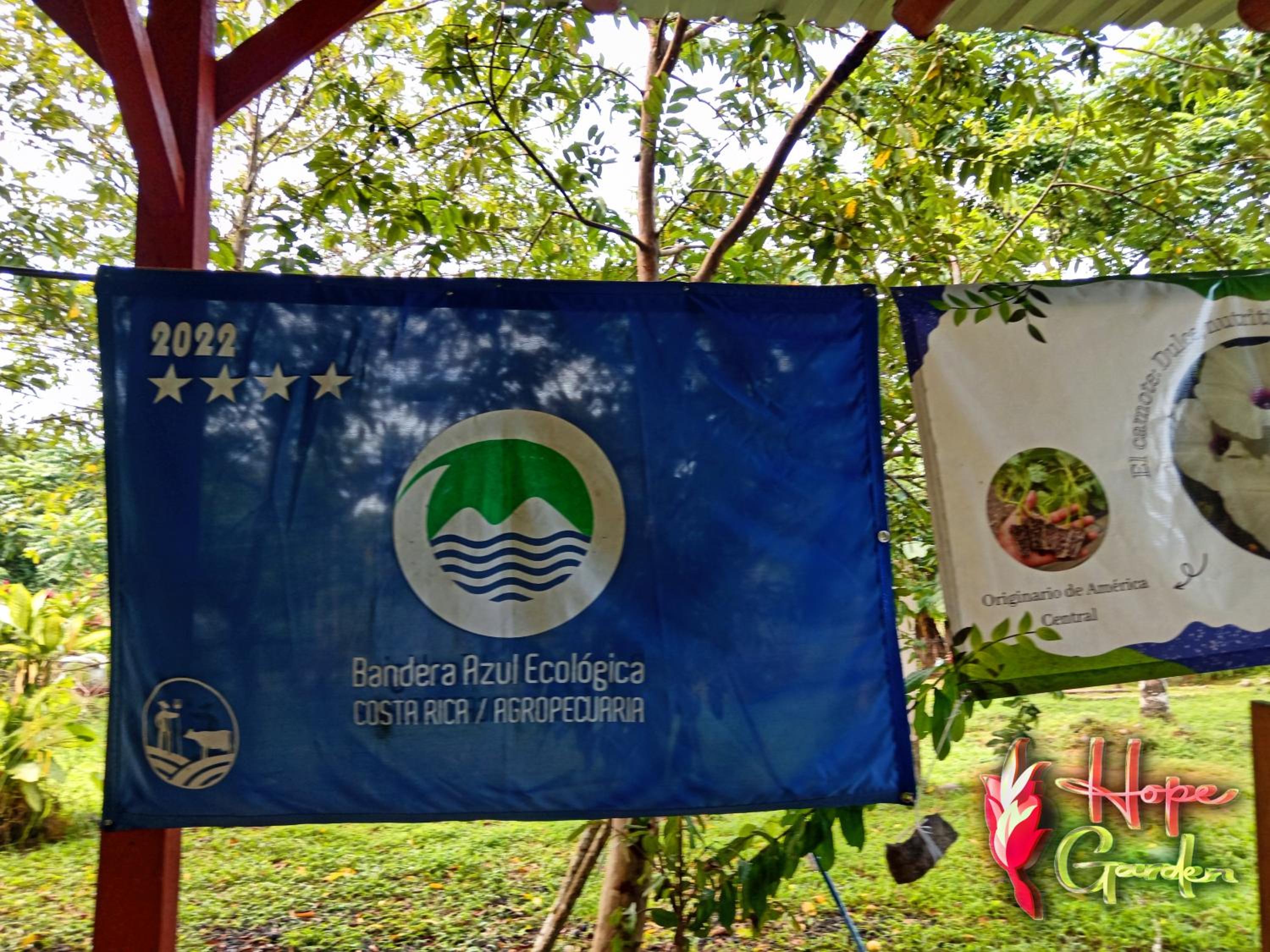 HOPE GARDEN, SARAPIQUÍ, We connect you with the Sarapiquí tropical forest