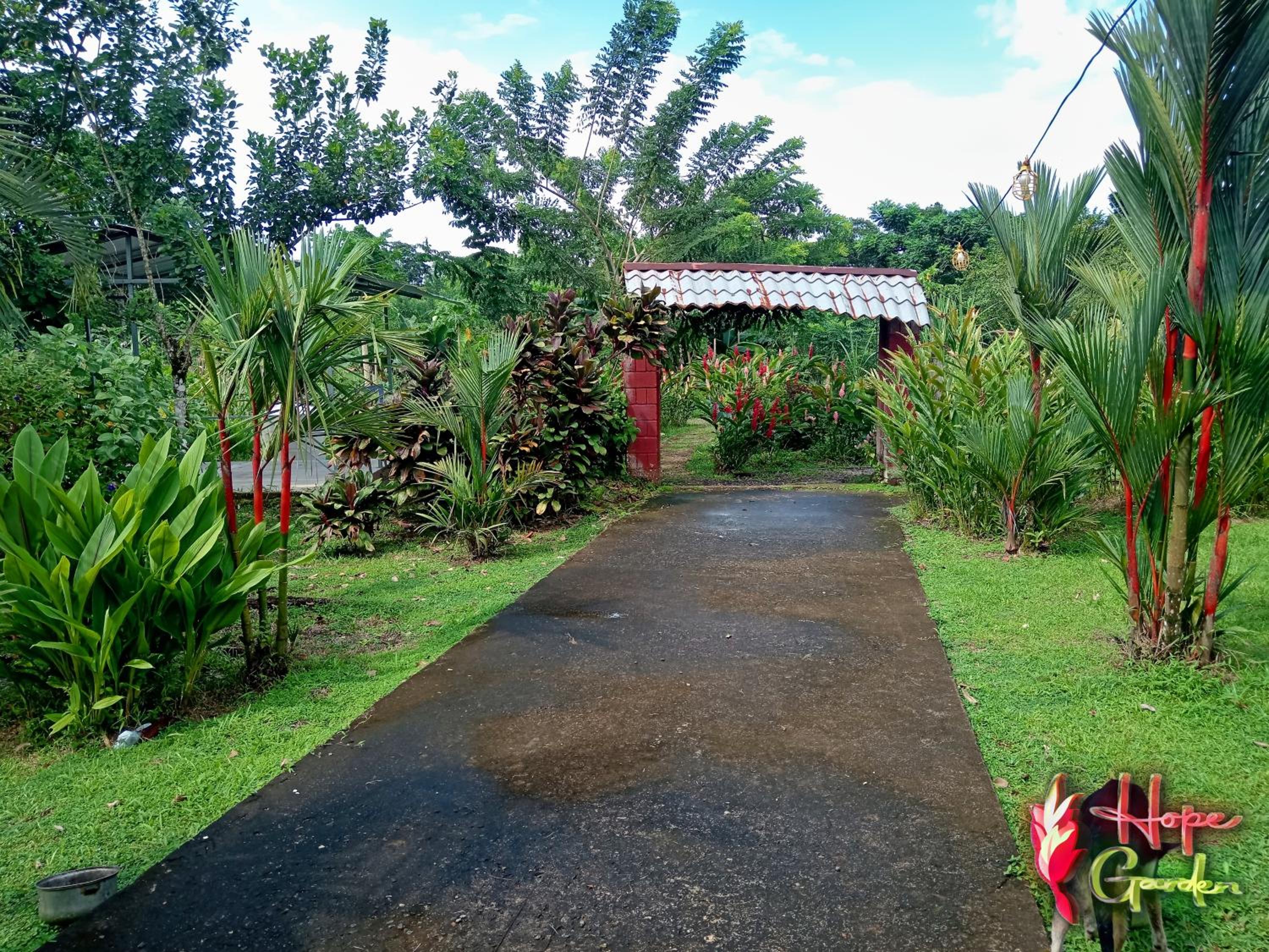 HOPE GARDEN, SARAPIQUÍ, We connect you with the Sarapiquí tropical forest