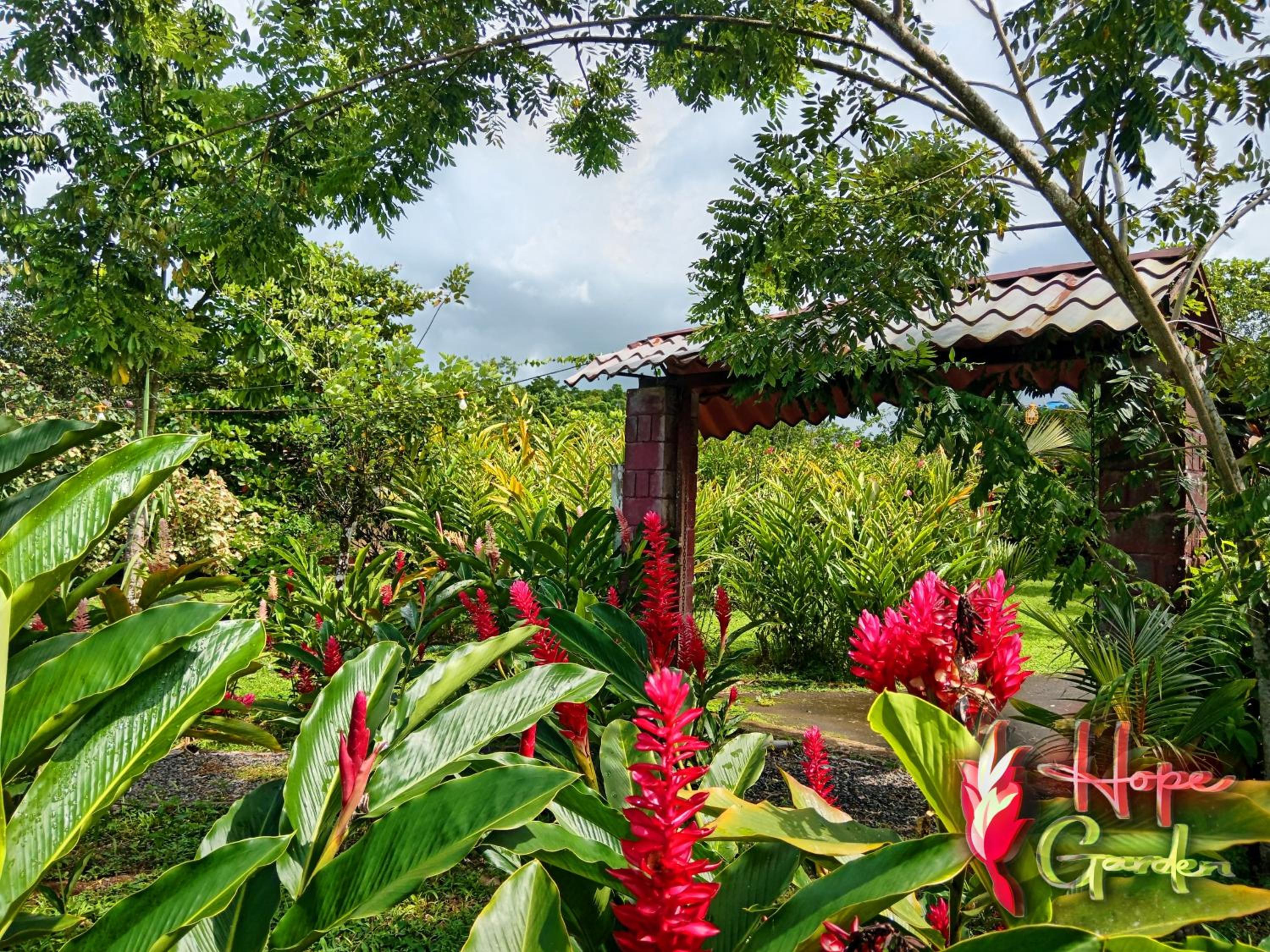 HOPE GARDEN, SARAPIQUÍ, We connect you with the Sarapiquí tropical forest
