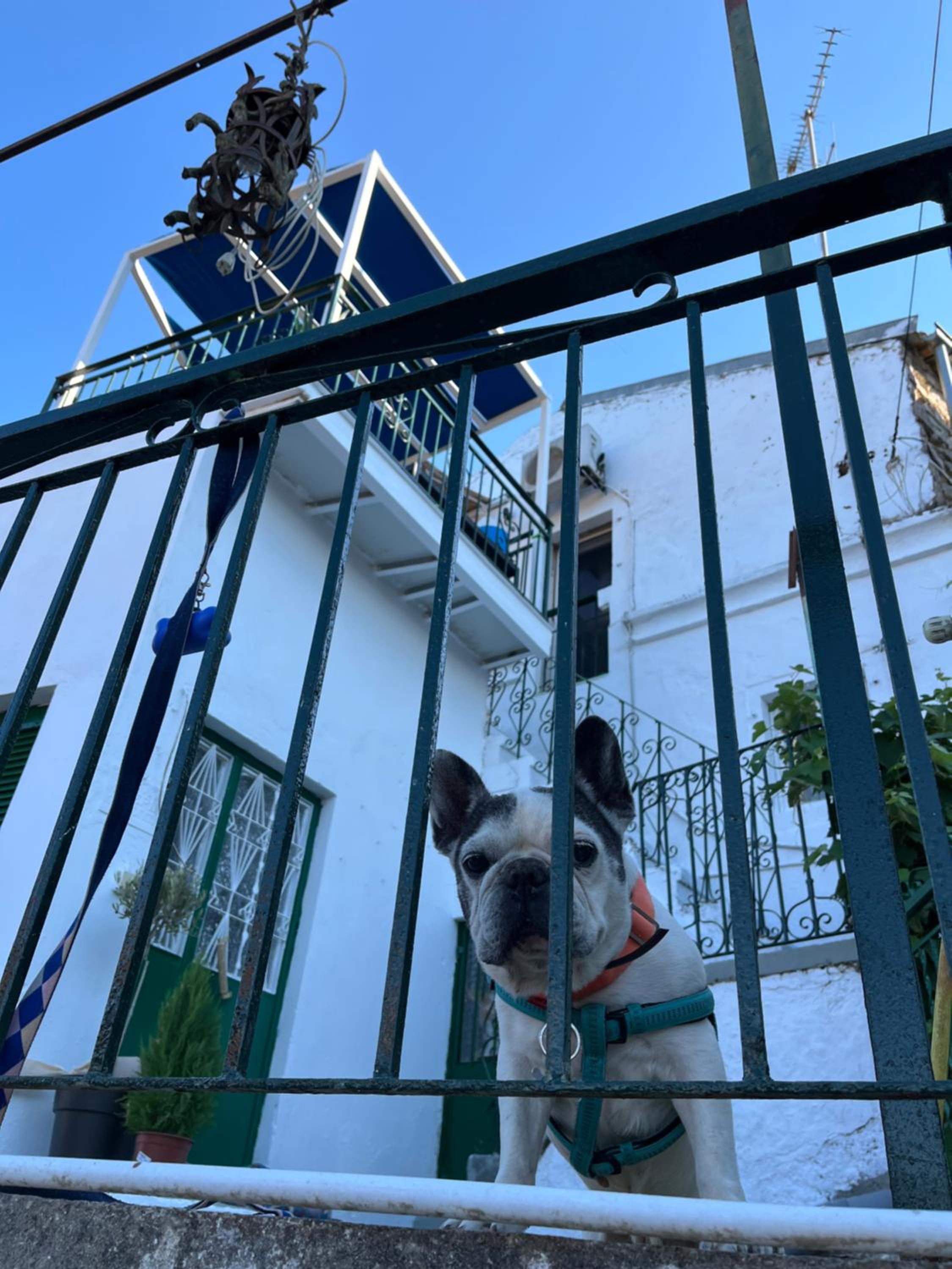 Secret balcony