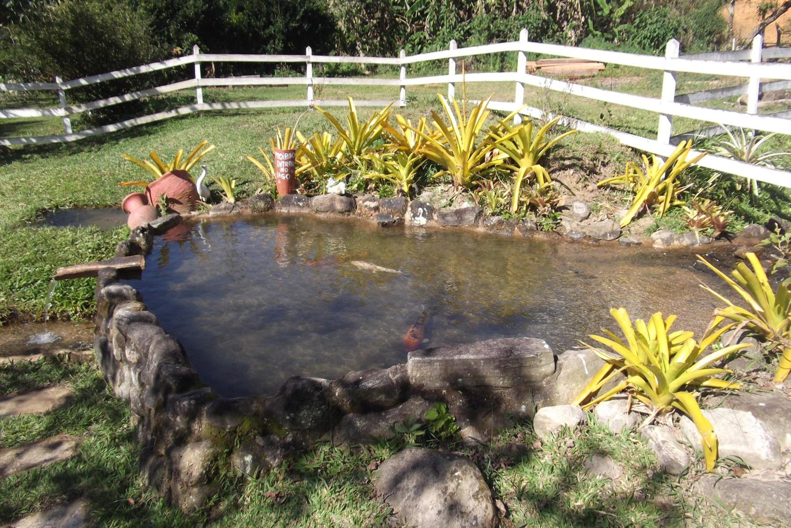 Photo 44