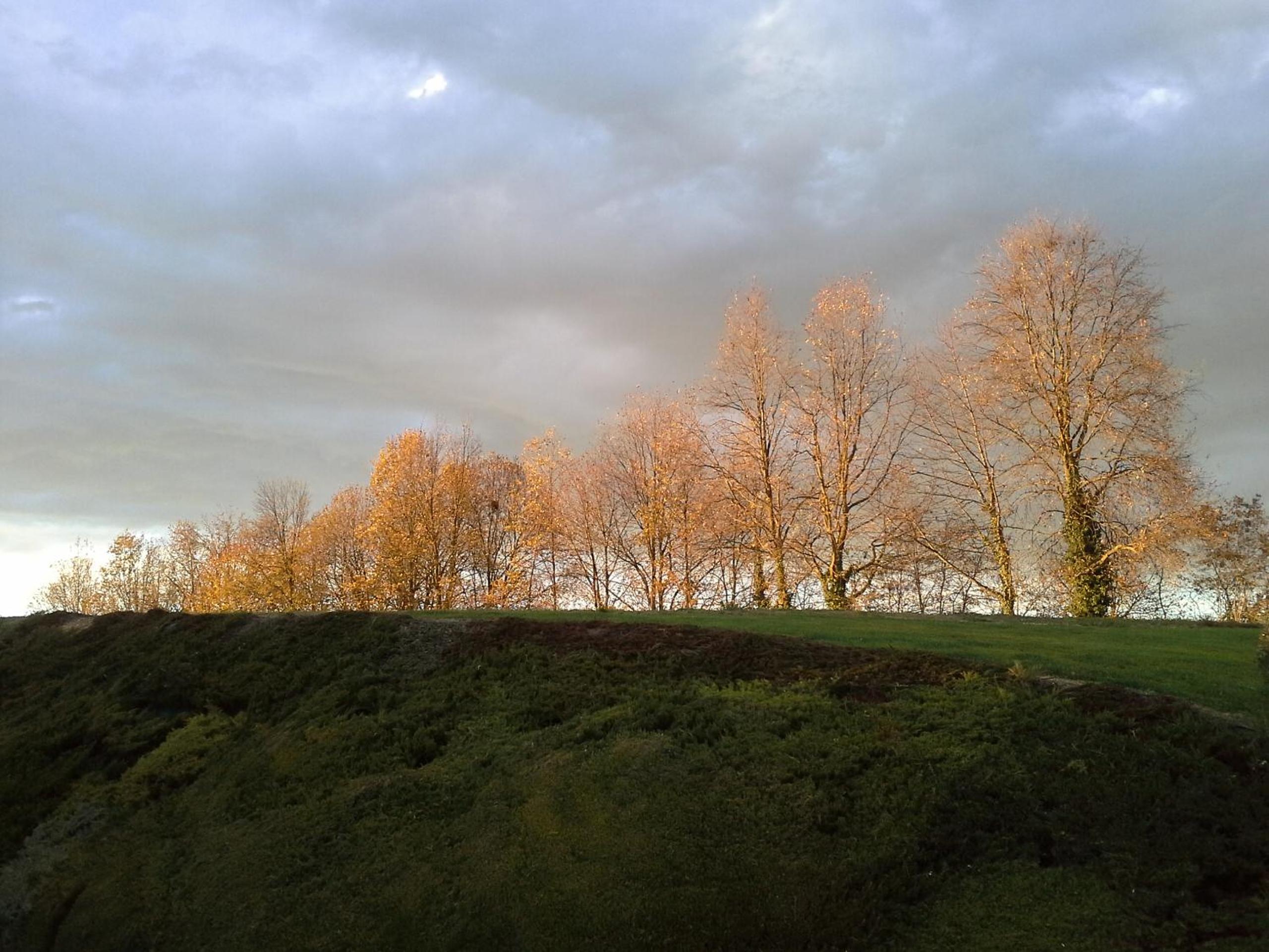 B&B Cascina Bellavista