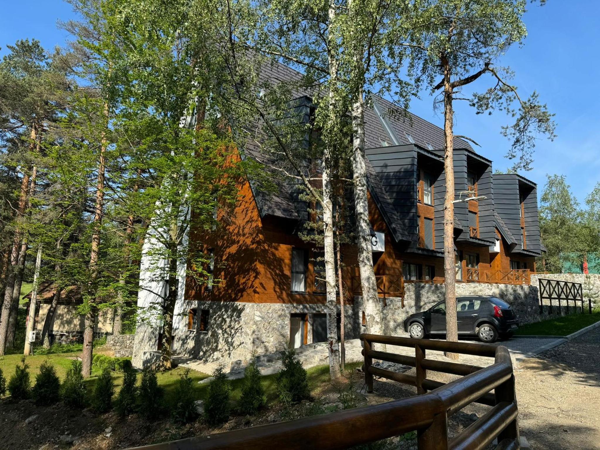 Apartman Green Divčigora view 3