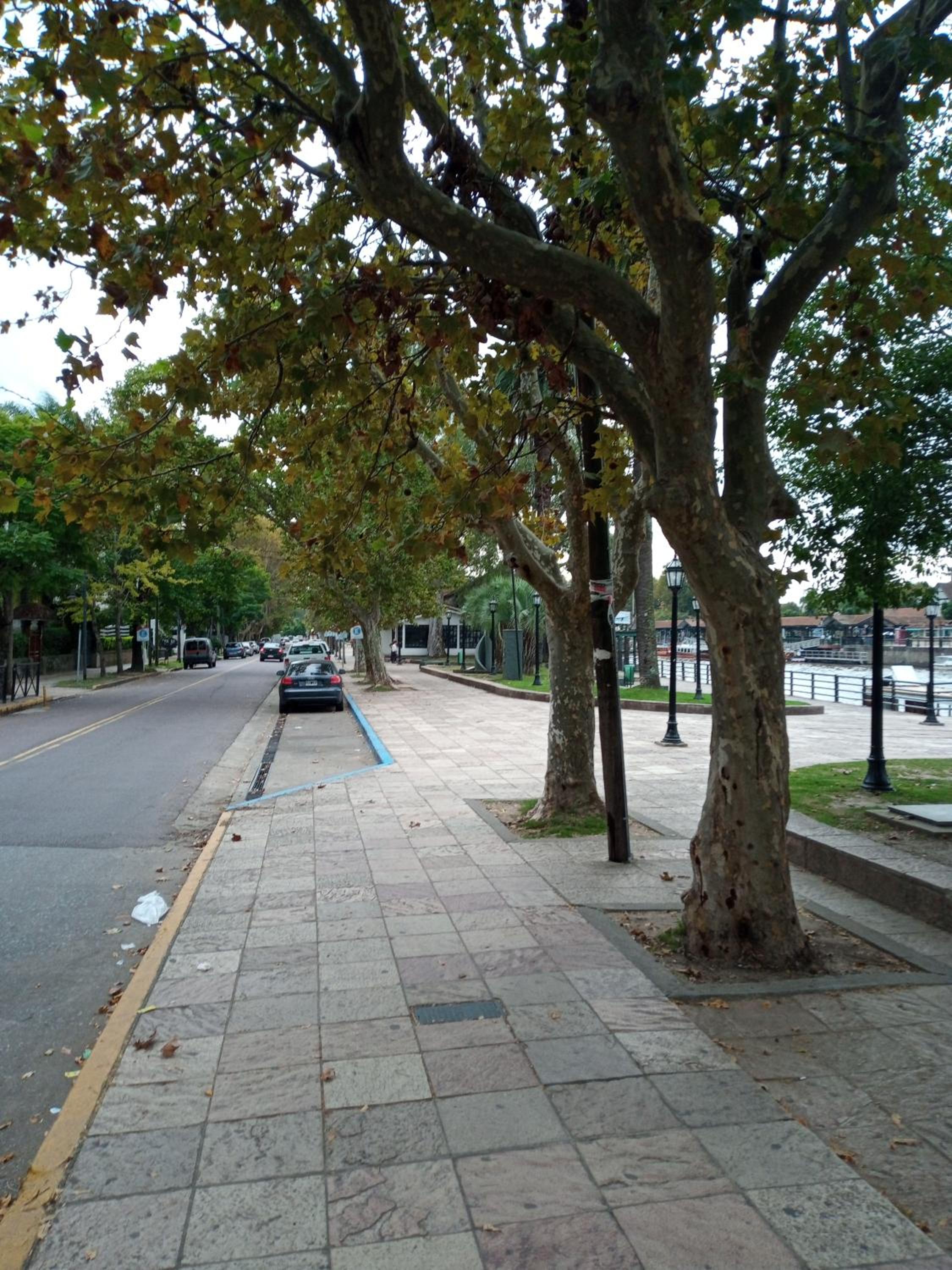 Torre plaza