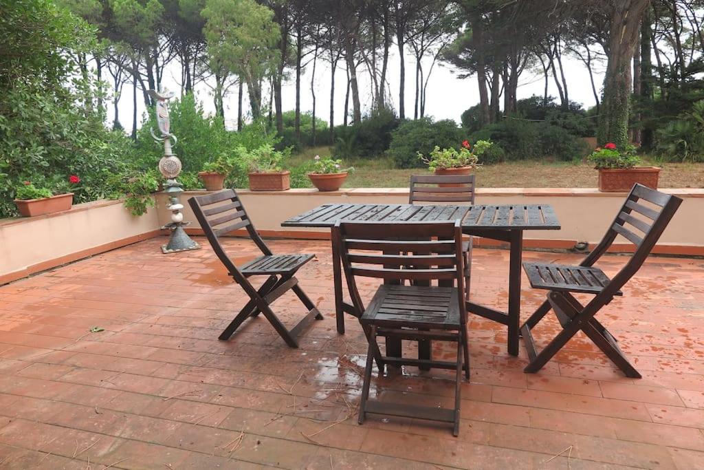 Villa Eucalipti immersa nel verde e sul mare view 4