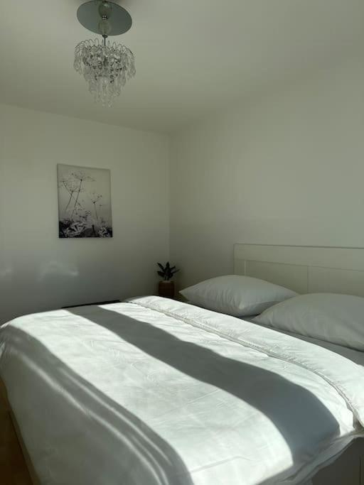 2 Zimmer Apartment in Neukölln