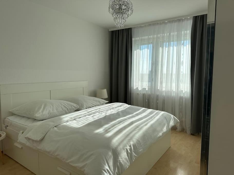 2 Zimmer Apartment in Neukölln