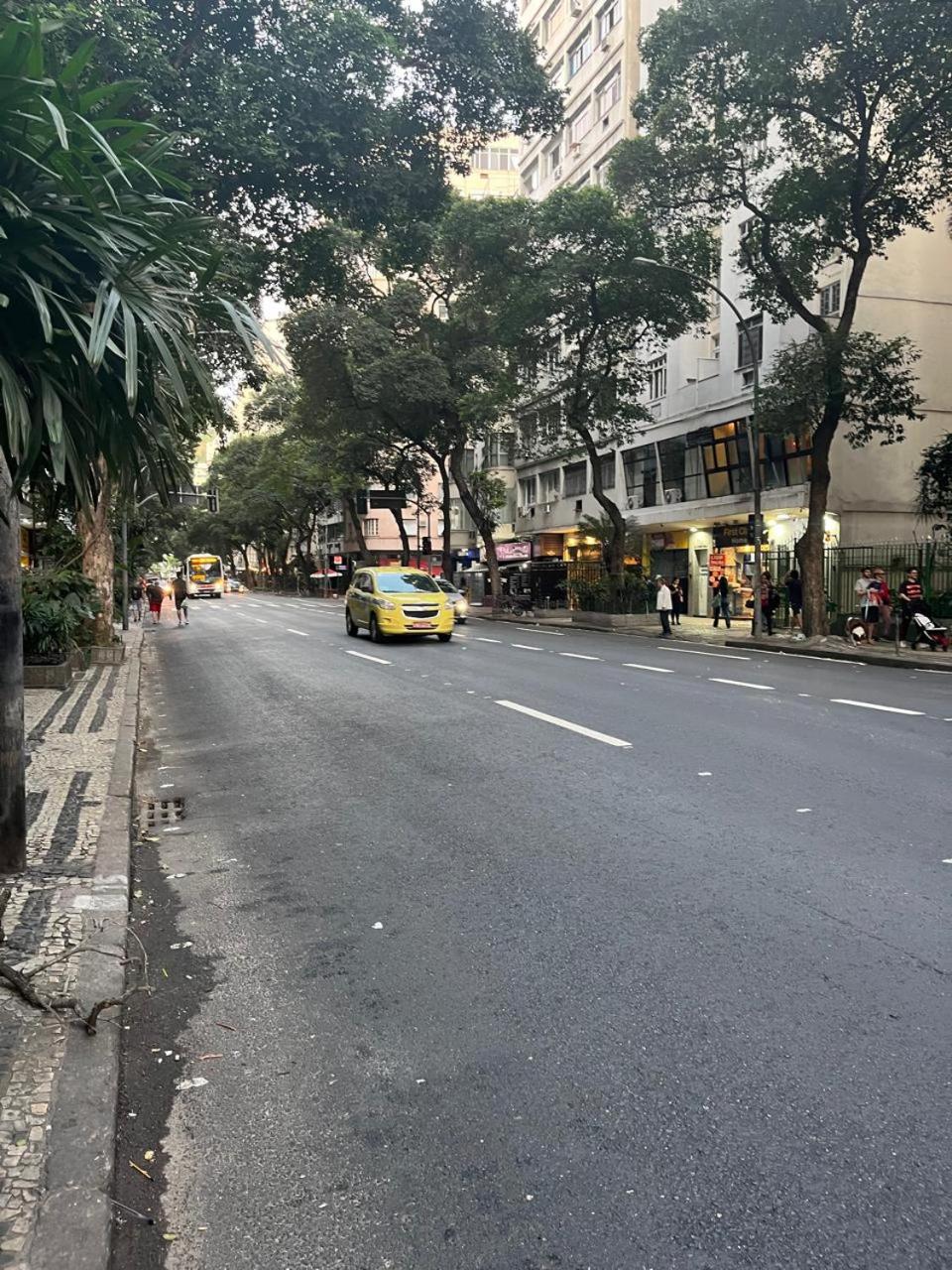 Forest in Copacabana