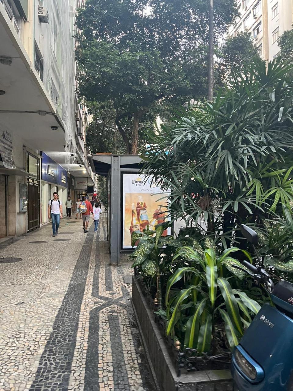 Forest in Copacabana