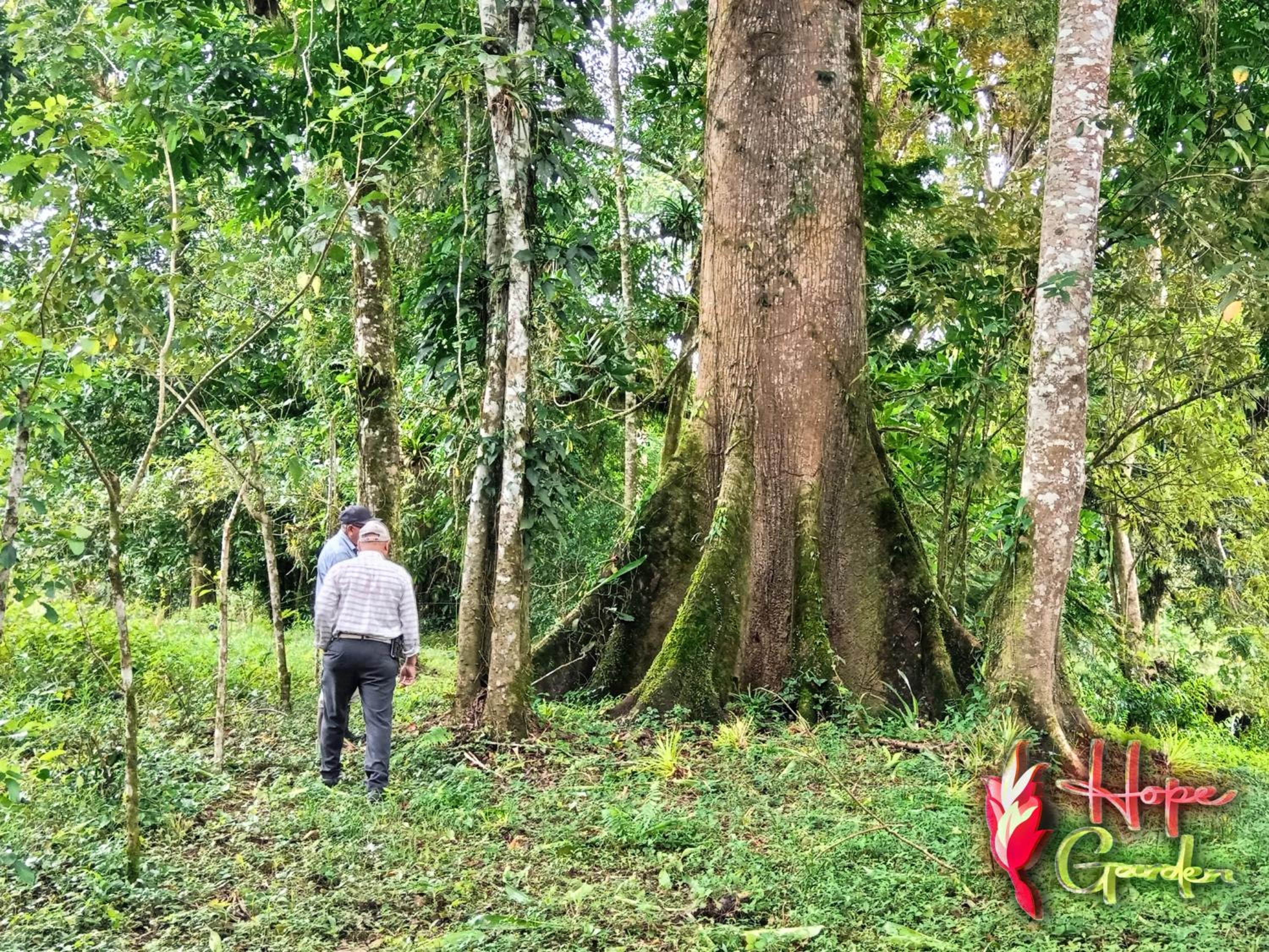 HOPE GARDEN, SARAPIQUÍ, We connect you with the Sarapiquí tropical forest