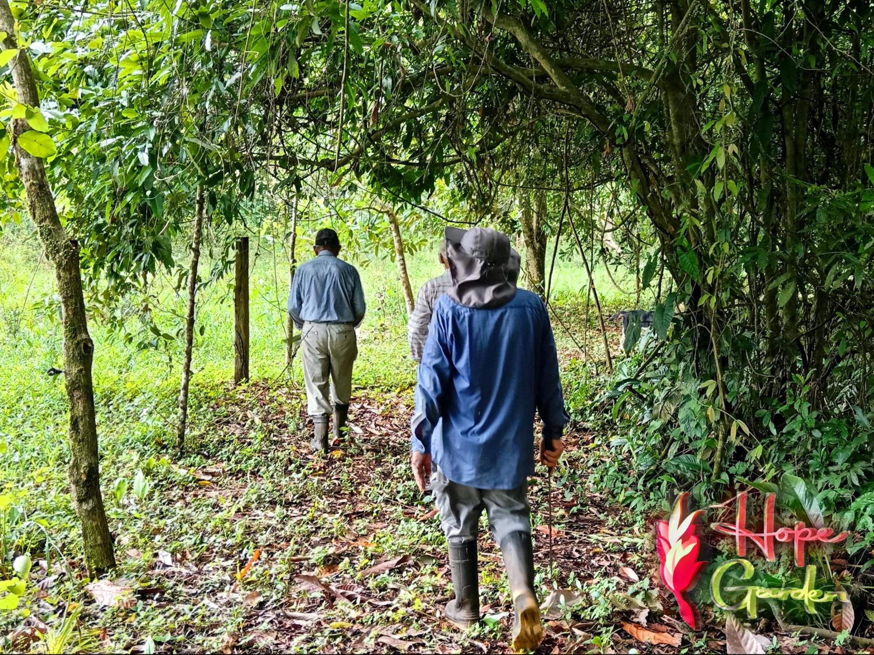 HOPE GARDEN, SARAPIQUÍ, We connect you with the Sarapiquí tropical forest
