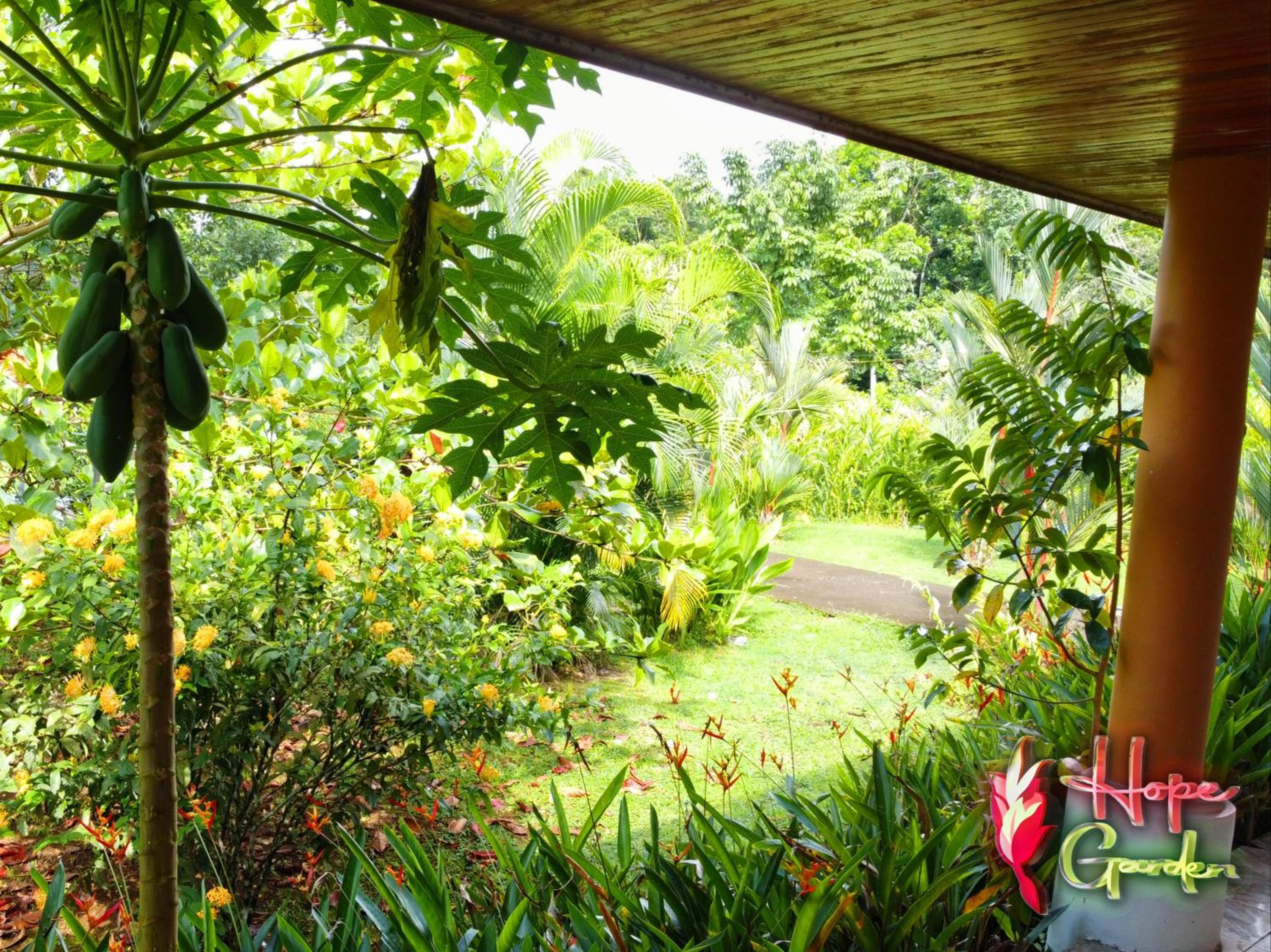 HOPE GARDEN, SARAPIQUÍ, We connect you with the Sarapiquí tropical forest