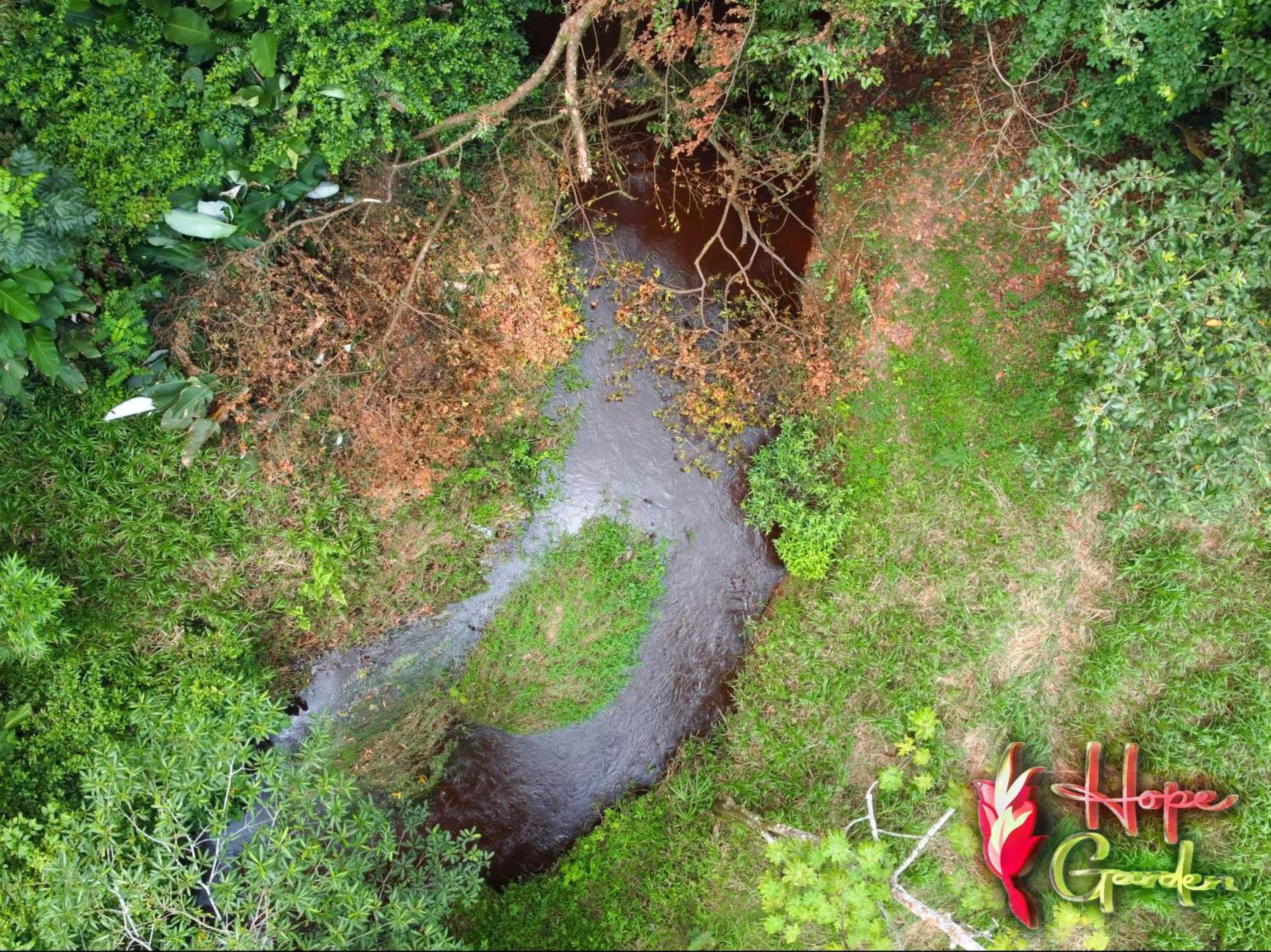 HOPE GARDEN, SARAPIQUÍ, We connect you with the Sarapiquí tropical forest