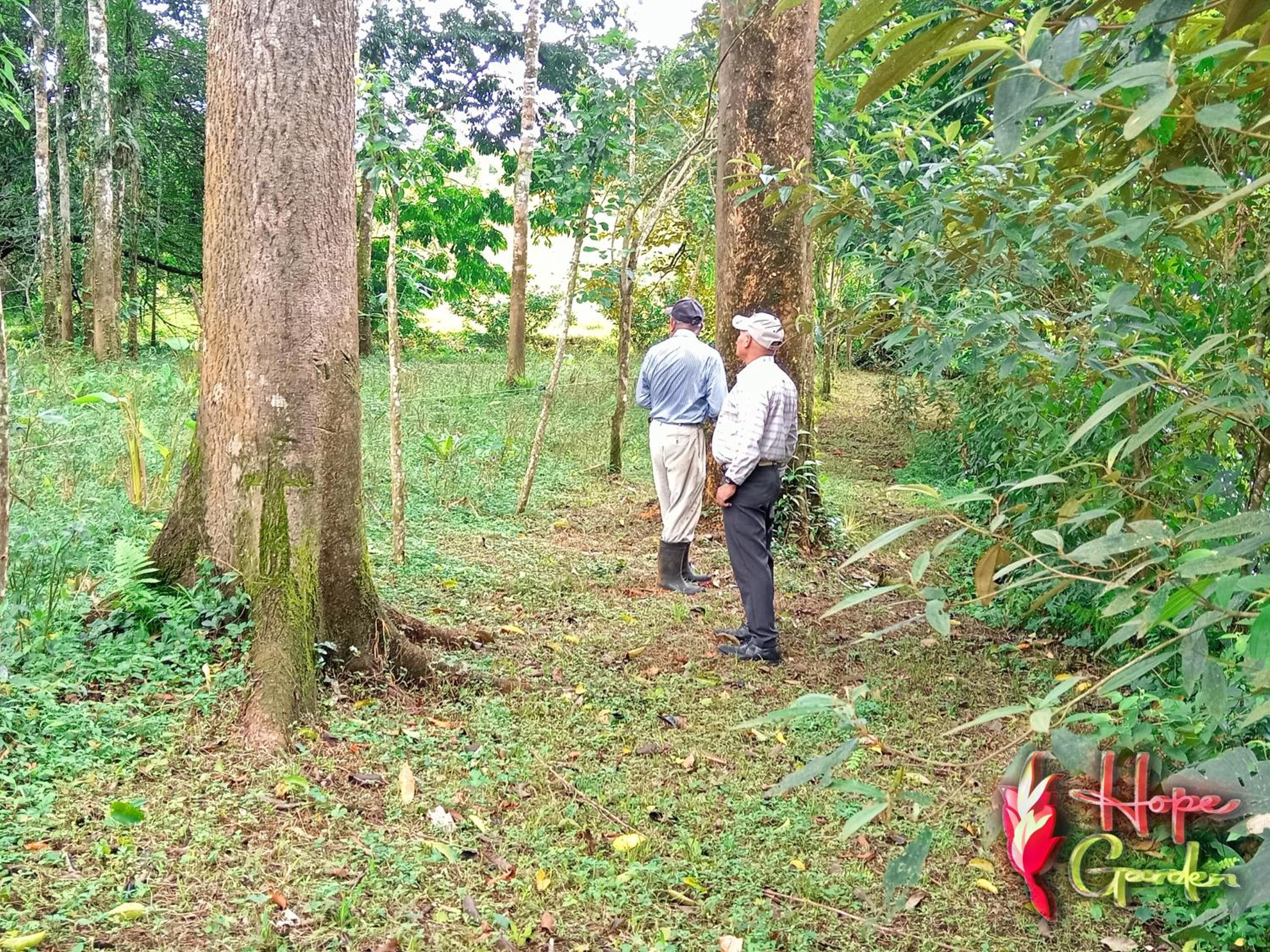 HOPE GARDEN, SARAPIQUÍ, We connect you with the Sarapiquí tropical forest