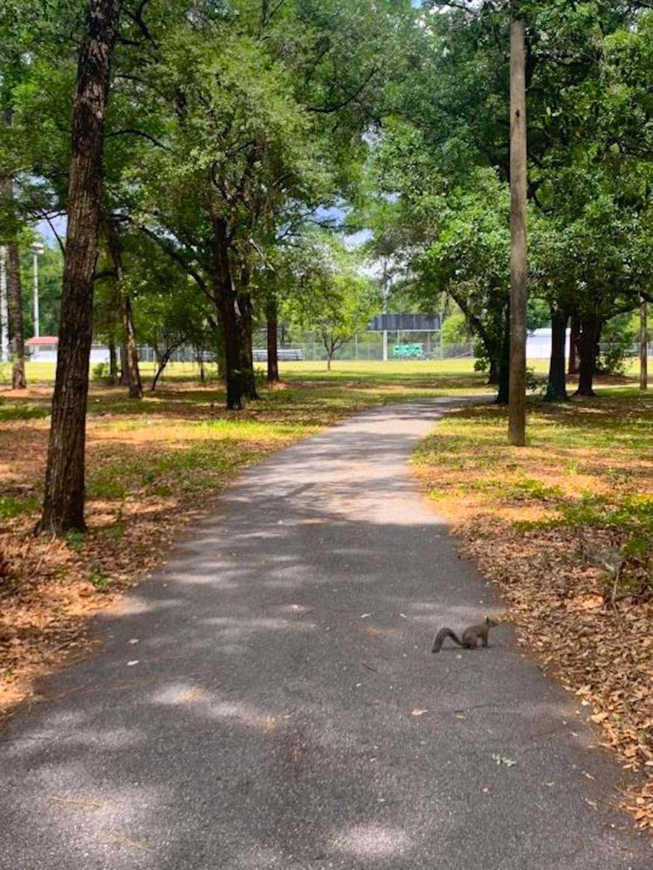 Private Home in Ocala with Fenced Yard, Piano, Central Location, Pets Welcome view 2