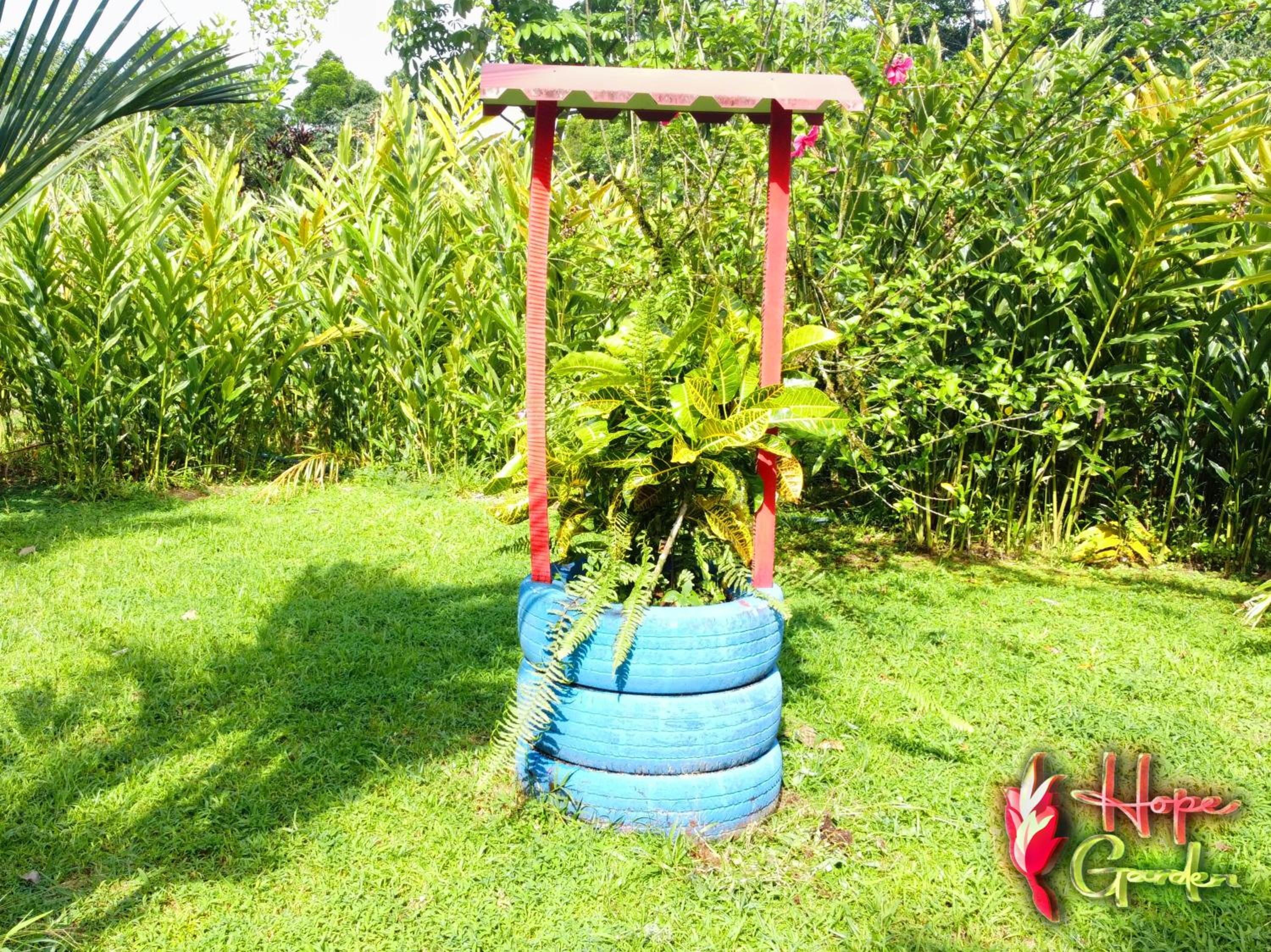 HOPE GARDEN, SARAPIQUÍ, We connect you with the Sarapiquí tropical forest