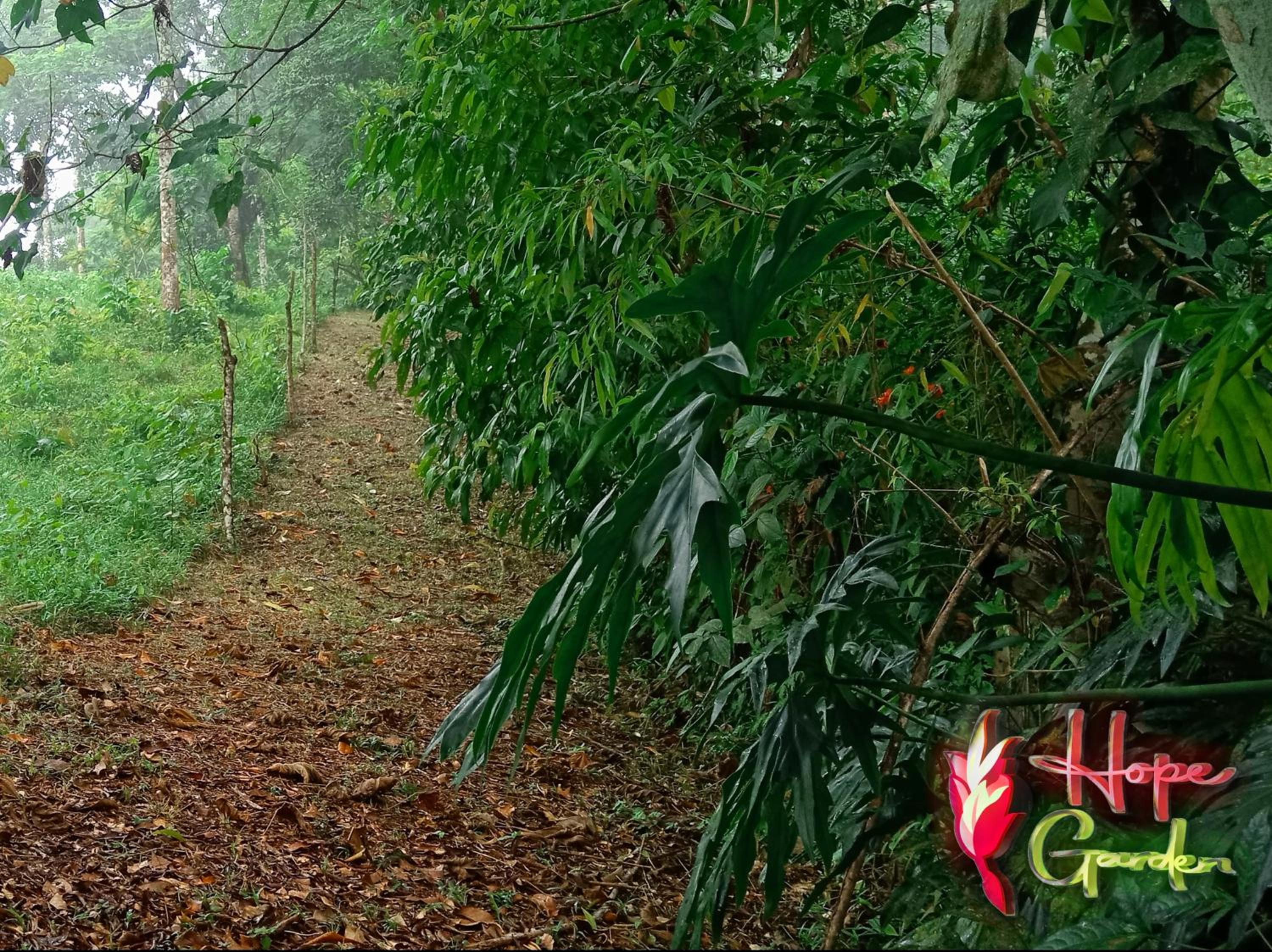 HOPE GARDEN, SARAPIQUÍ, We connect you with the Sarapiquí tropical forest