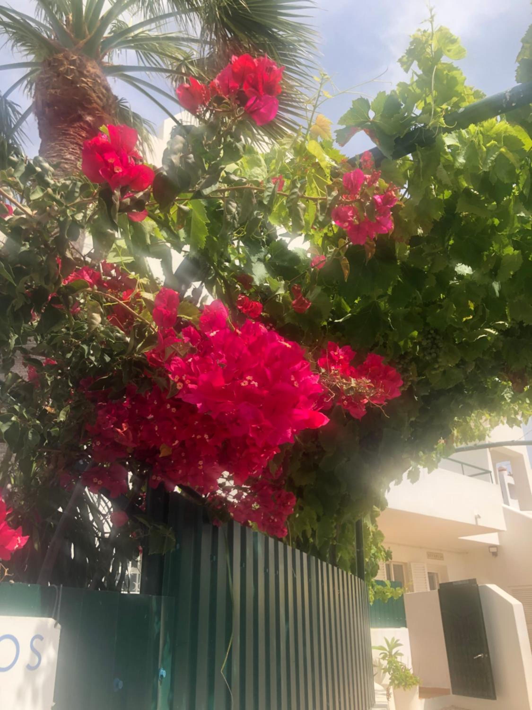Debimar Apartamentos