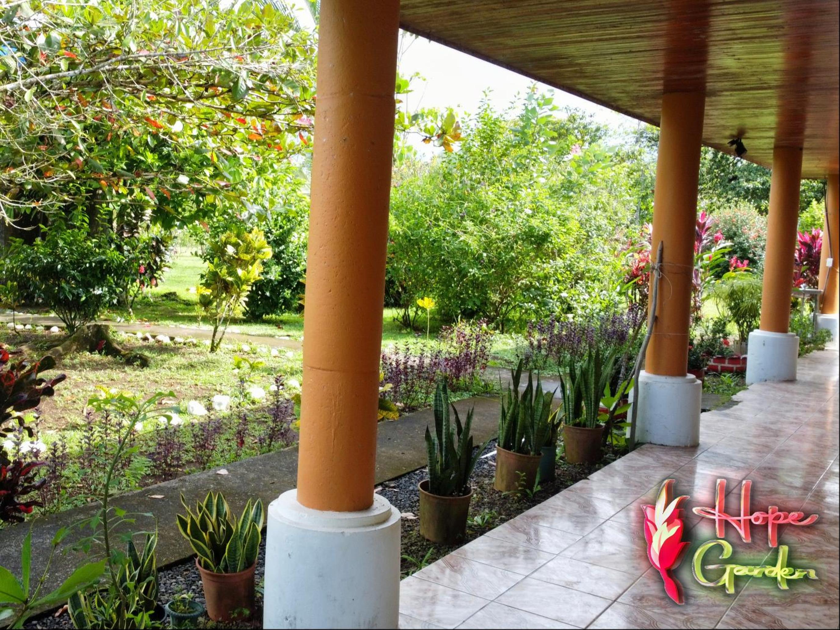 HOPE GARDEN, SARAPIQUÍ, We connect you with the Sarapiquí tropical forest