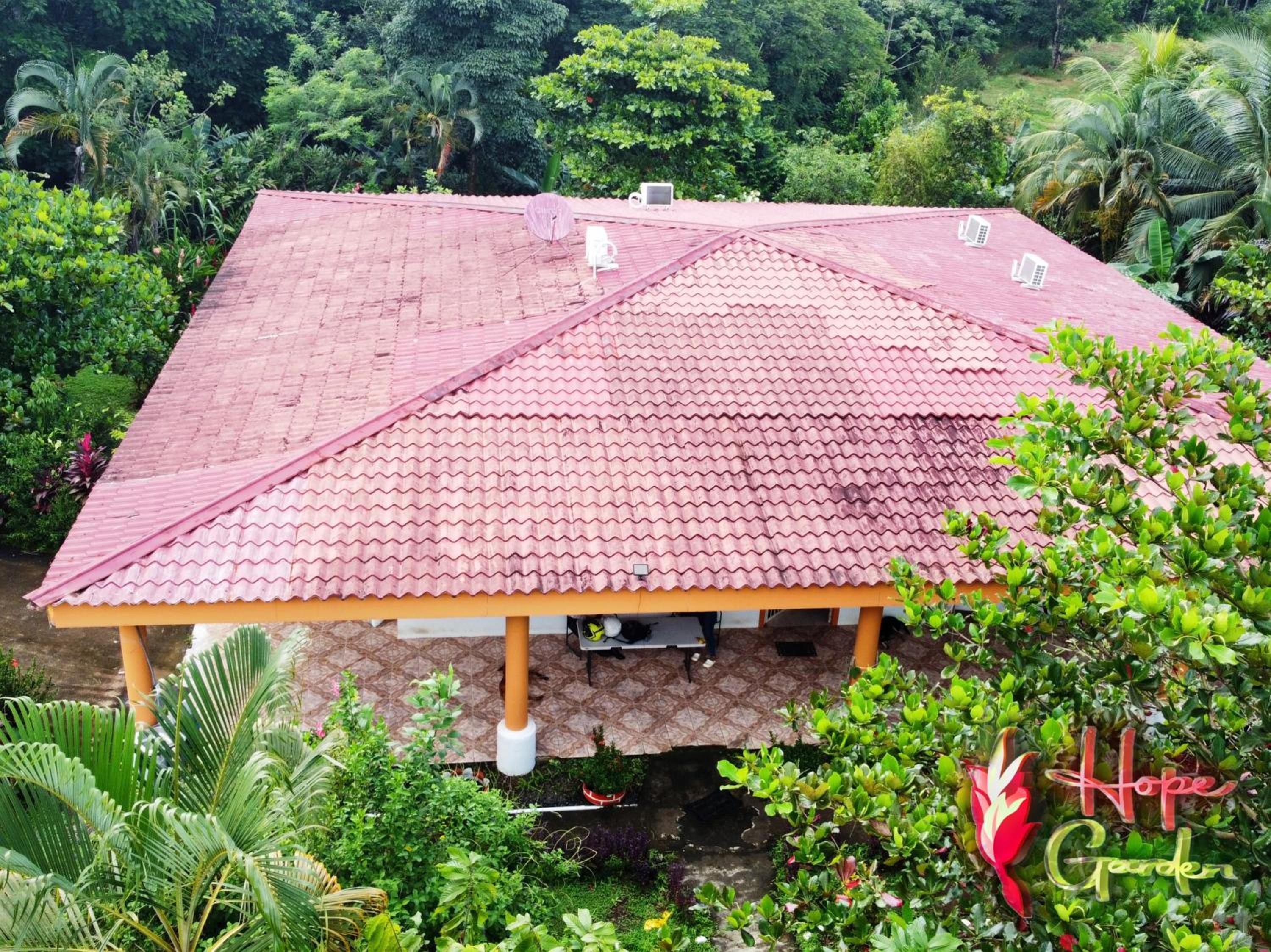 HOPE GARDEN, SARAPIQUÍ, We connect you with the Sarapiquí tropical forest