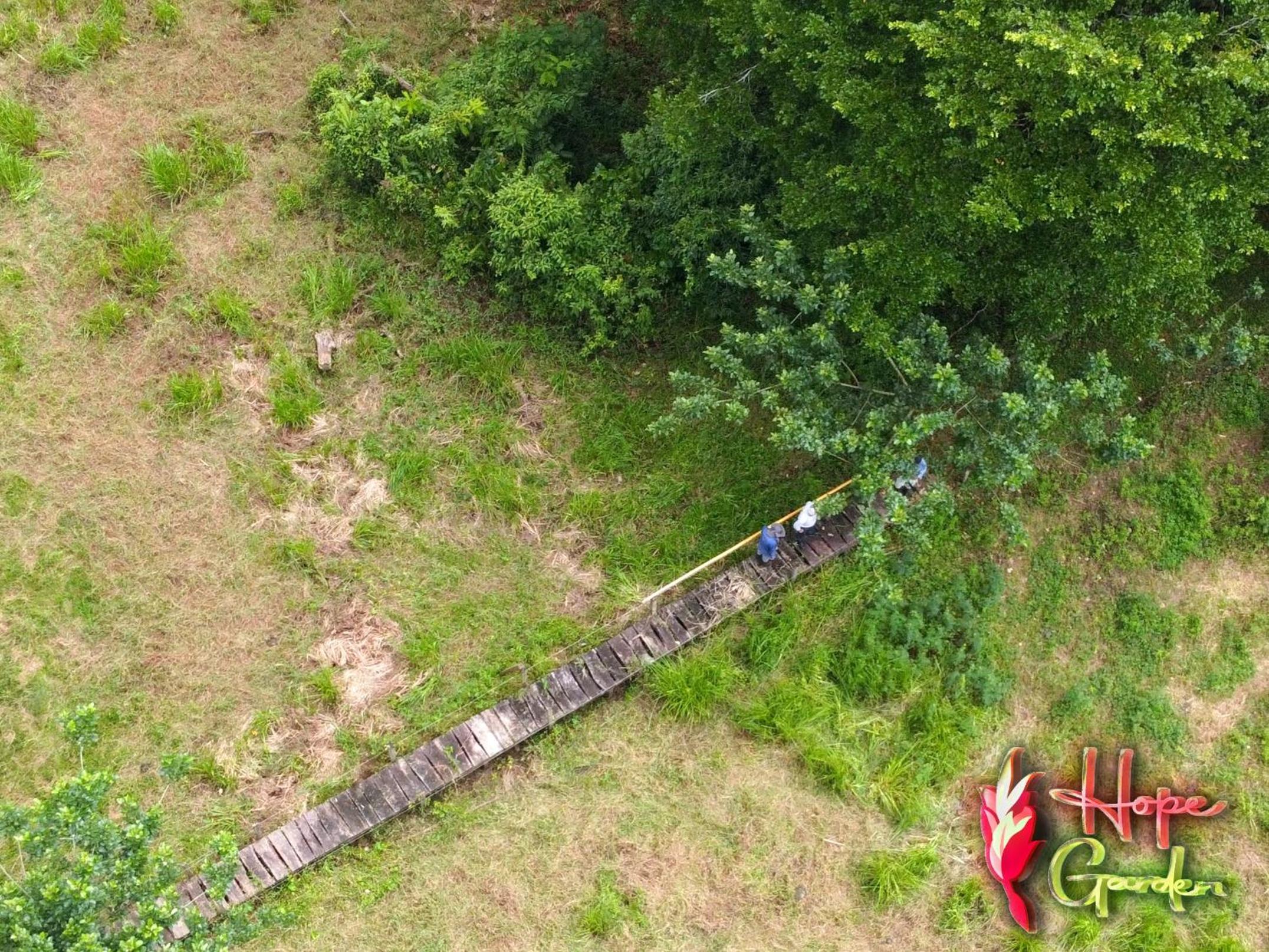 HOPE GARDEN, SARAPIQUÍ, We connect you with the Sarapiquí tropical forest