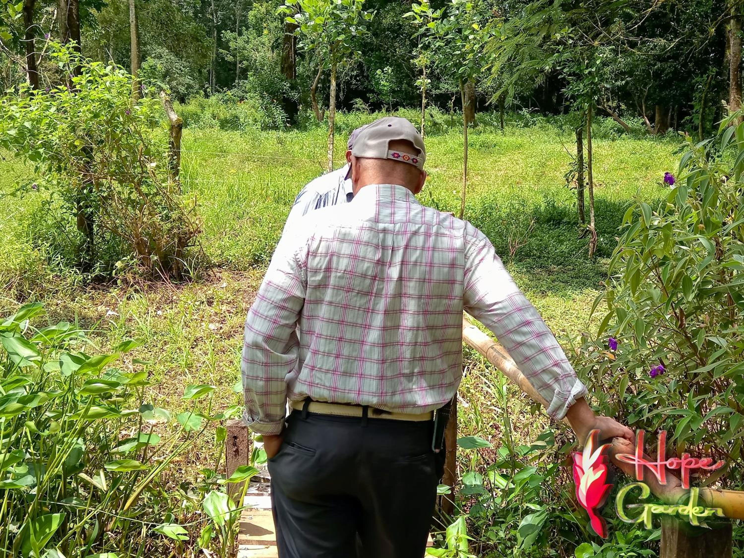 HOPE GARDEN, SARAPIQUÍ, We connect you with the Sarapiquí tropical forest