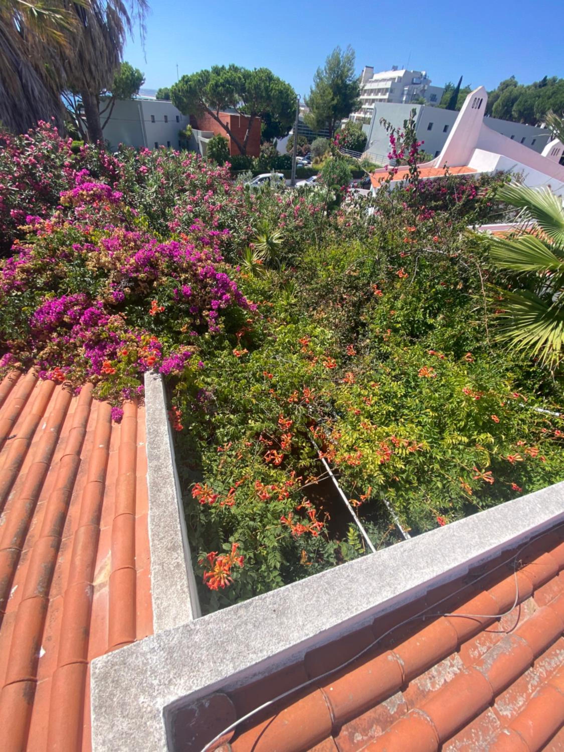 roof