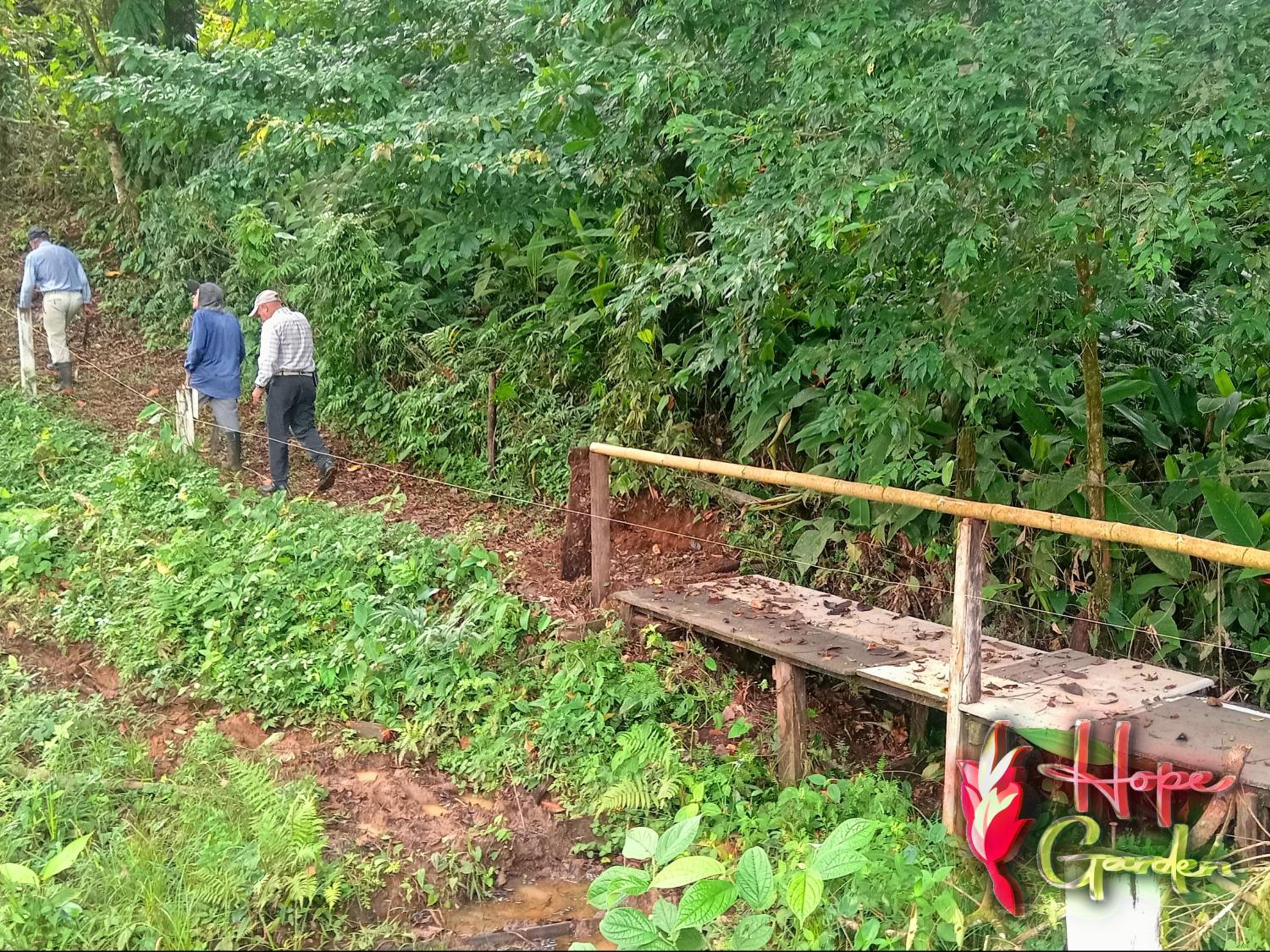 HOPE GARDEN, SARAPIQUÍ, We connect you with the Sarapiquí tropical forest