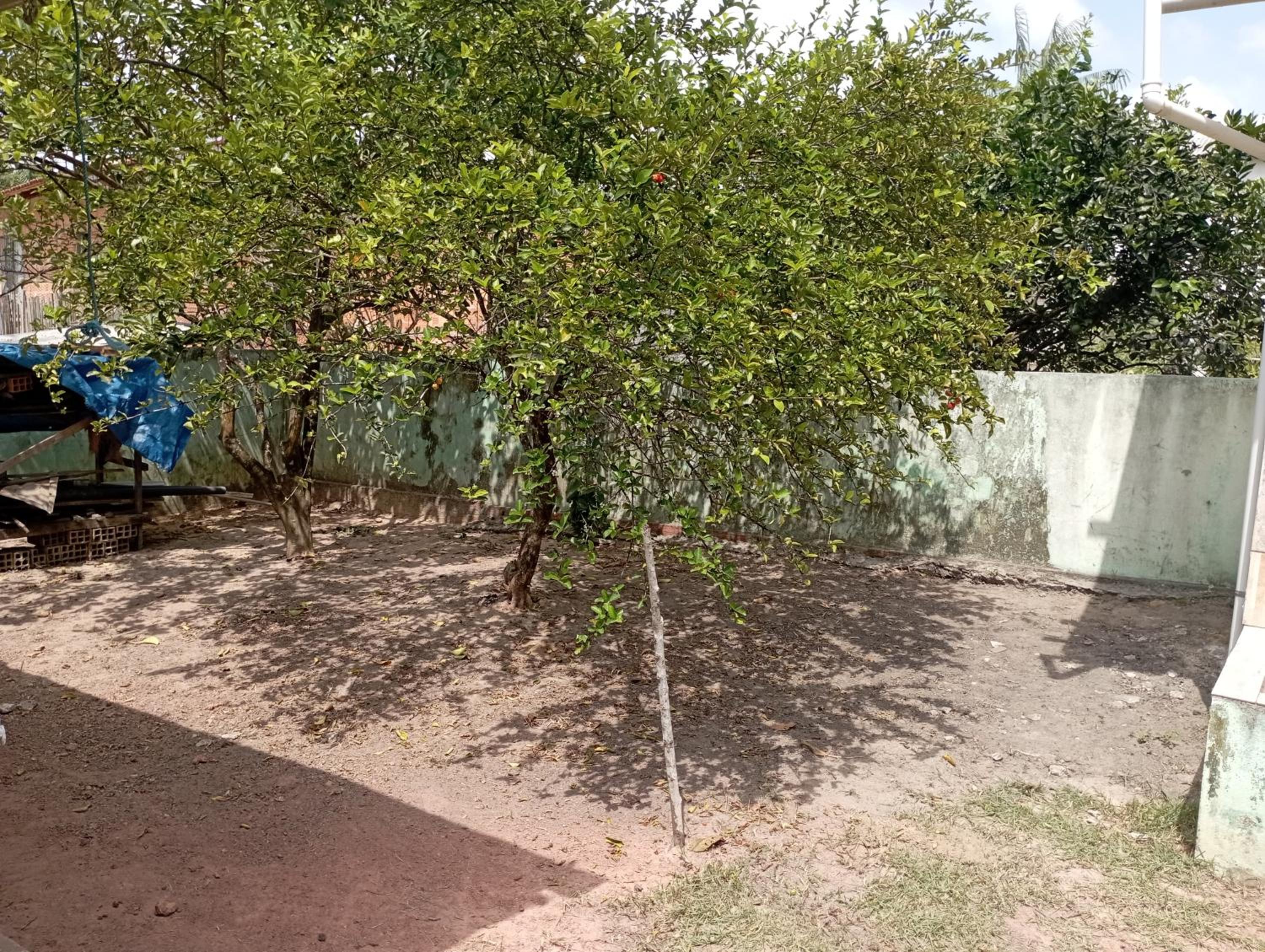 Casa amarela