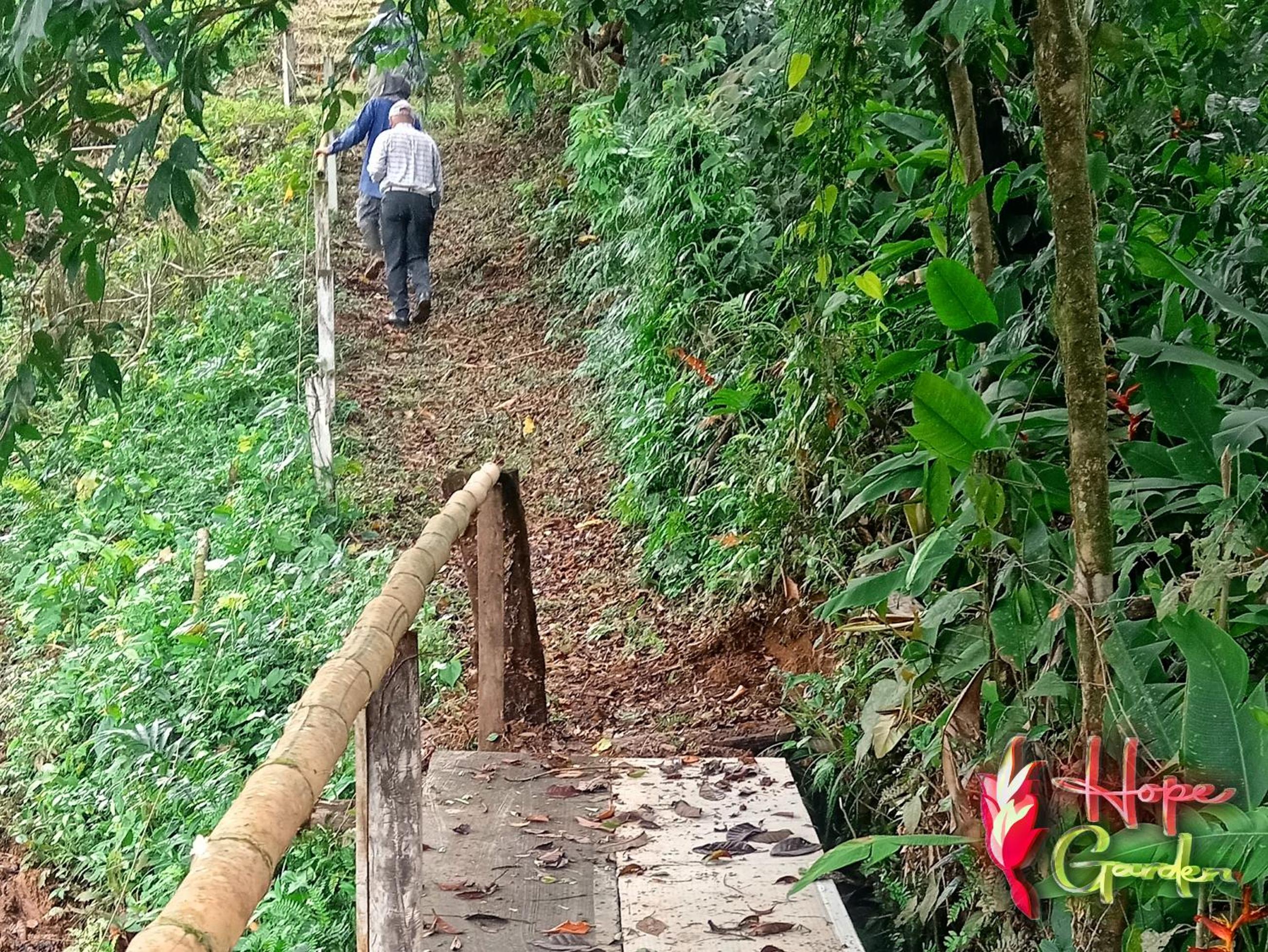 HOPE GARDEN, SARAPIQUÍ, We connect you with the Sarapiquí tropical forest