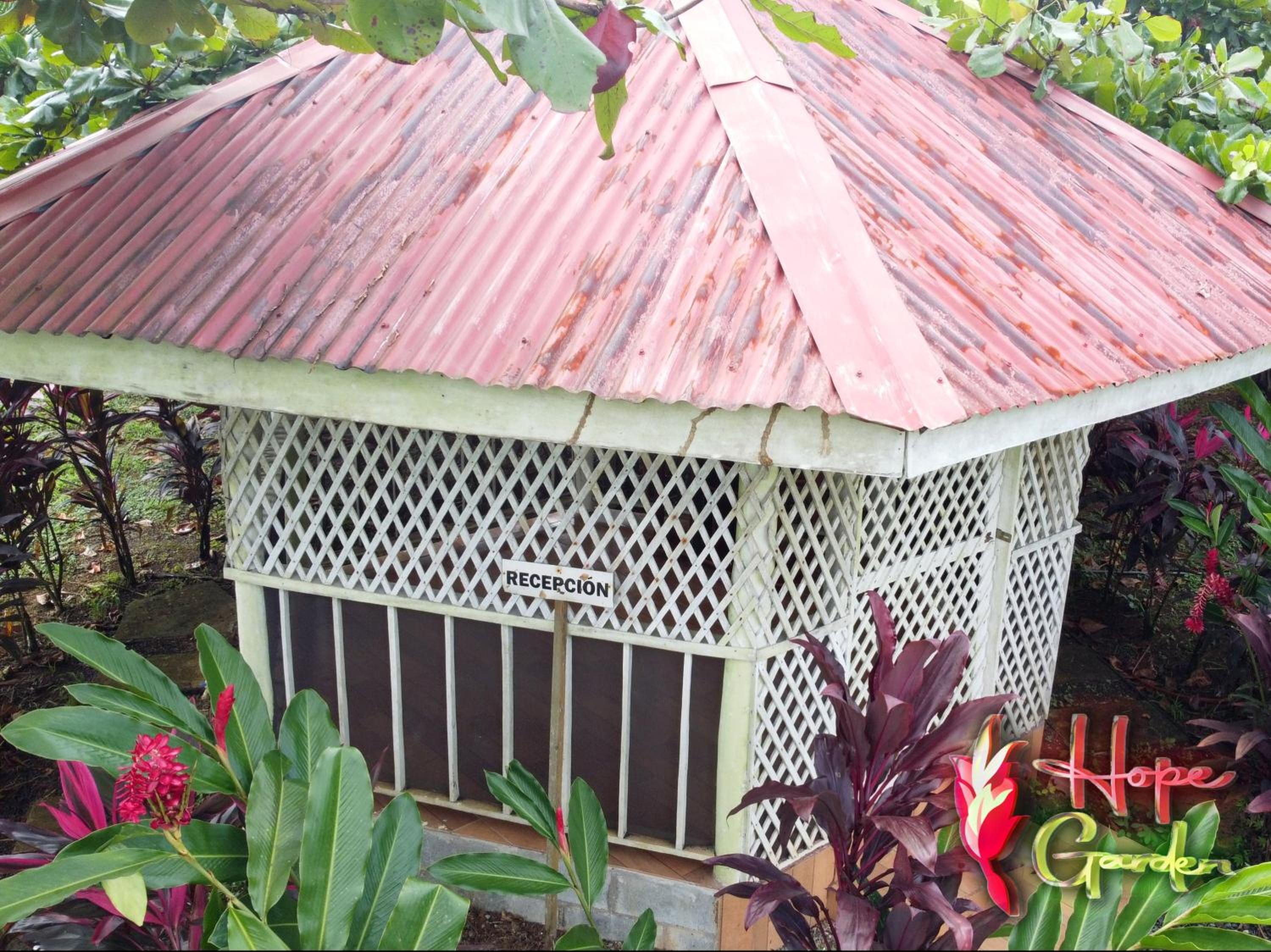 HOPE GARDEN, SARAPIQUÍ, We connect you with the Sarapiquí tropical forest