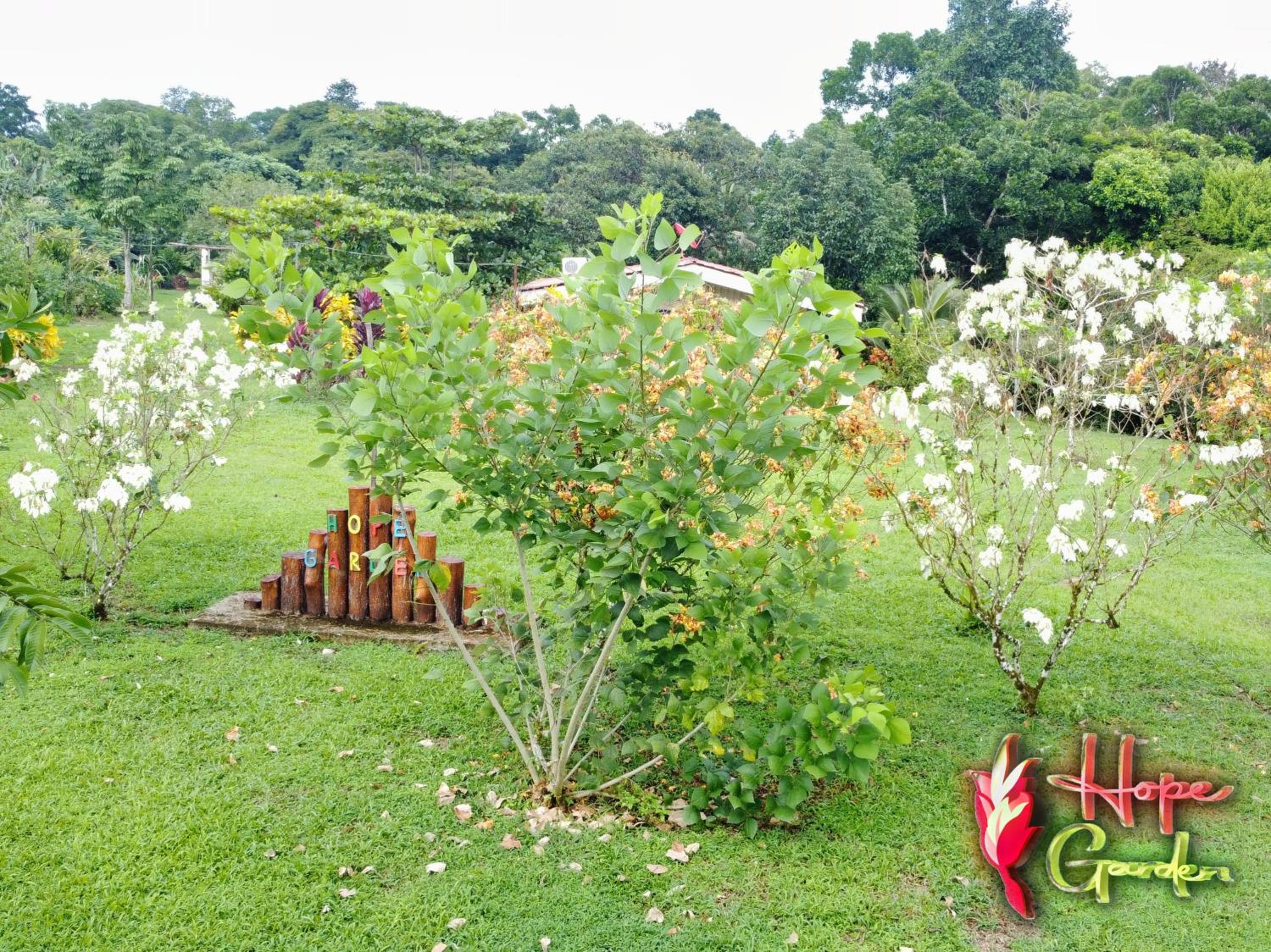 HOPE GARDEN, SARAPIQUÍ, We connect you with the Sarapiquí tropical forest