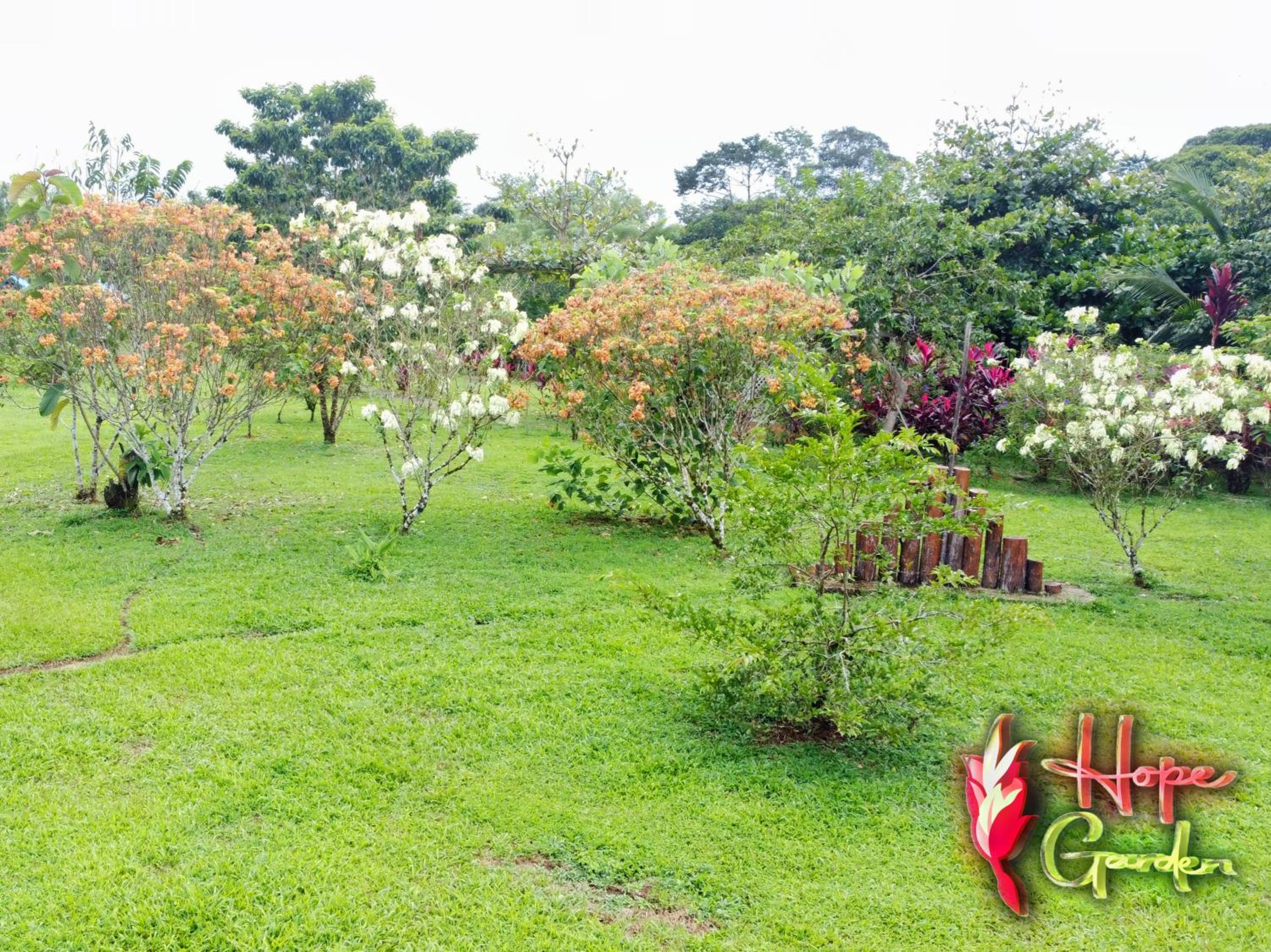 HOPE GARDEN, SARAPIQUÍ, We connect you with the Sarapiquí tropical forest