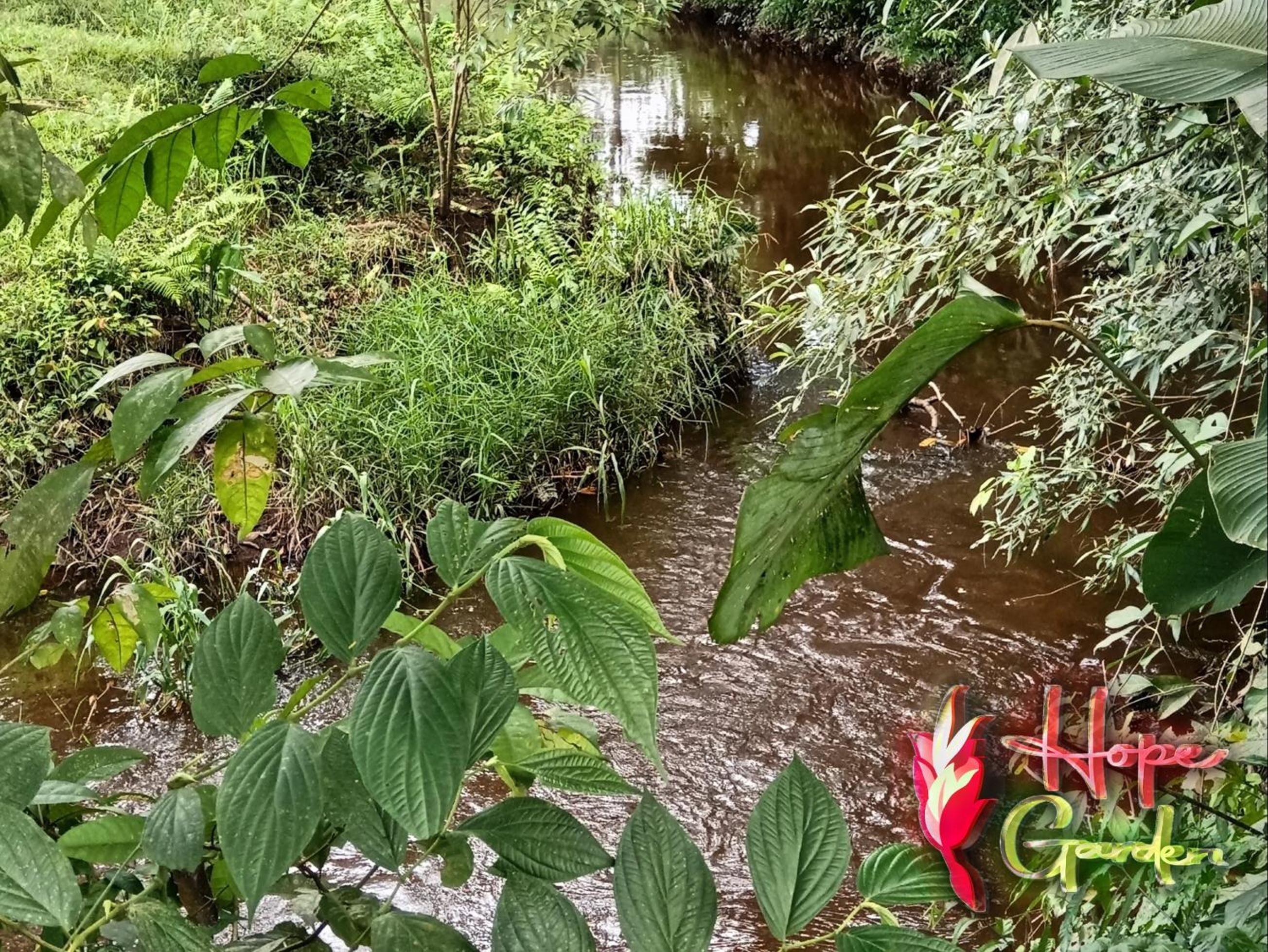 HOPE GARDEN, SARAPIQUÍ, We connect you with the Sarapiquí tropical forest