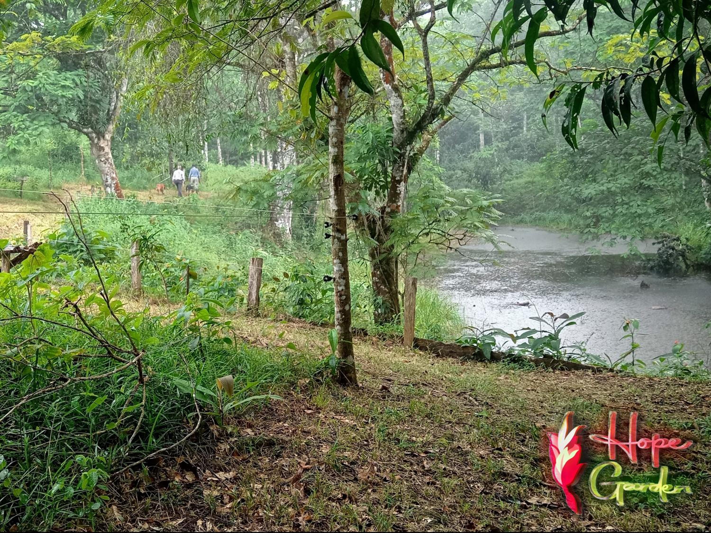 HOPE GARDEN, SARAPIQUÍ, We connect you with the Sarapiquí tropical forest
