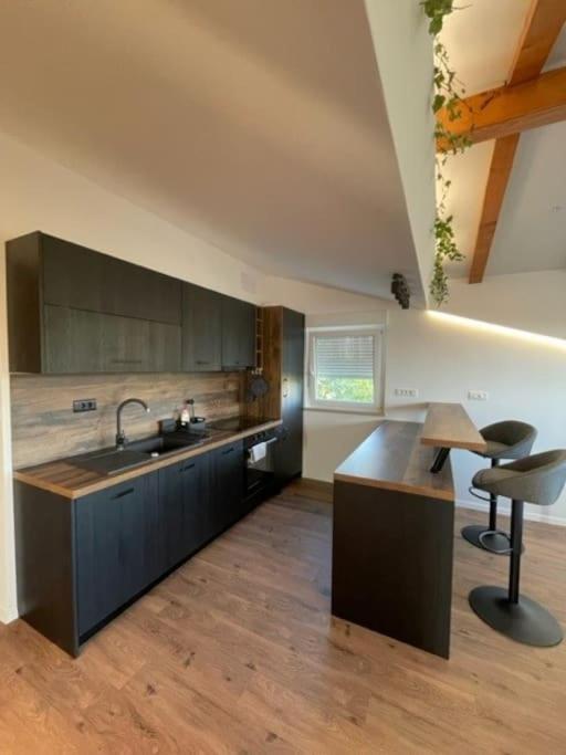 Apartment TIMA