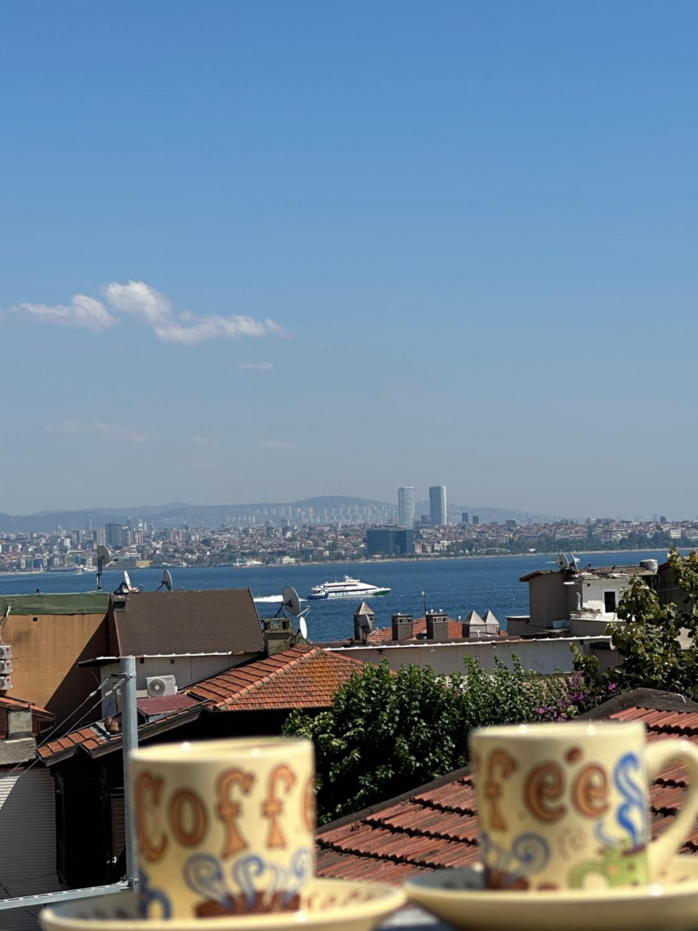 Pine Stone Apart Hotel Sultanahmet - Image 13