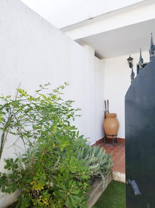 La Casita de Wilson