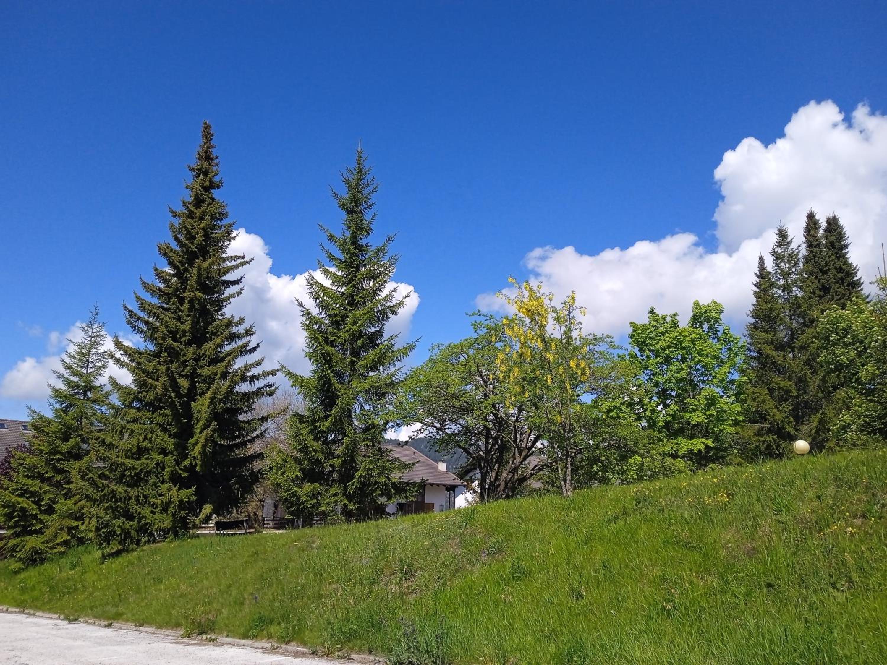 Photo 47