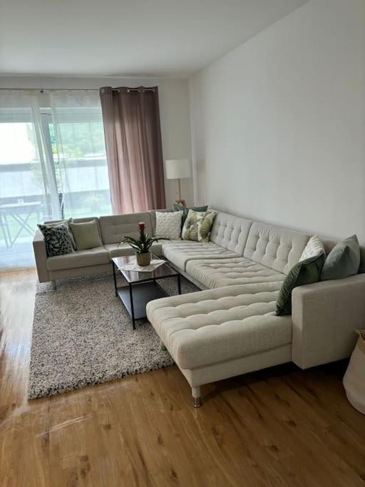 Wunderschöne Wohnung am Rhein nähe Koblenz