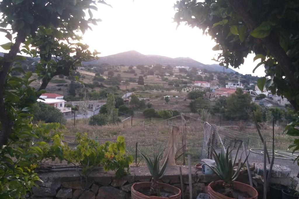 Christos House
