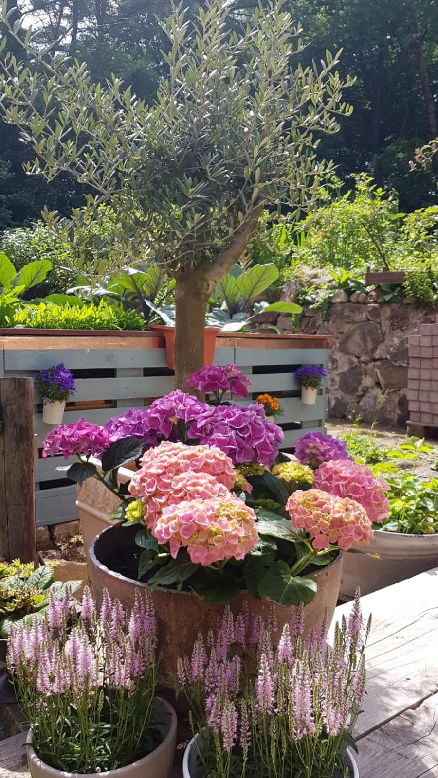 stilvolle forsthof-Depandence mit Service